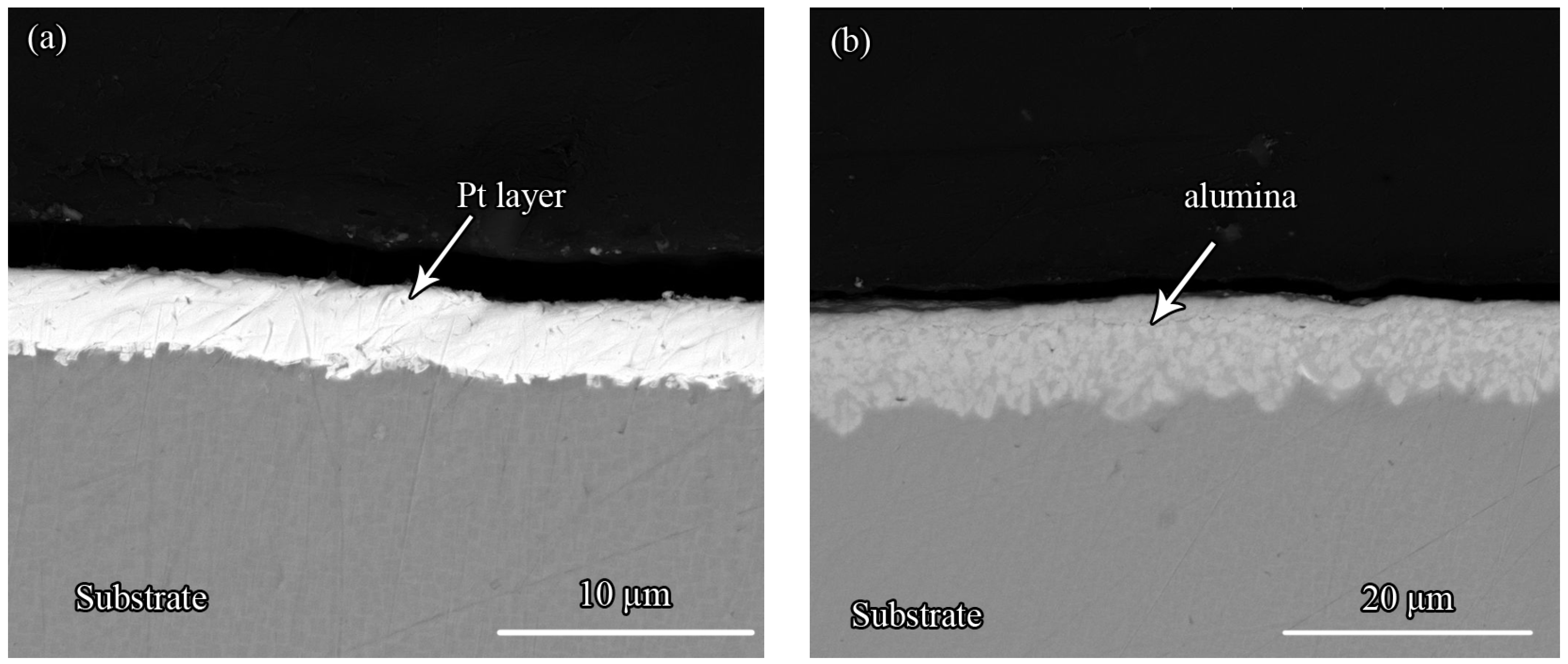 Coatings 08 00001 g001