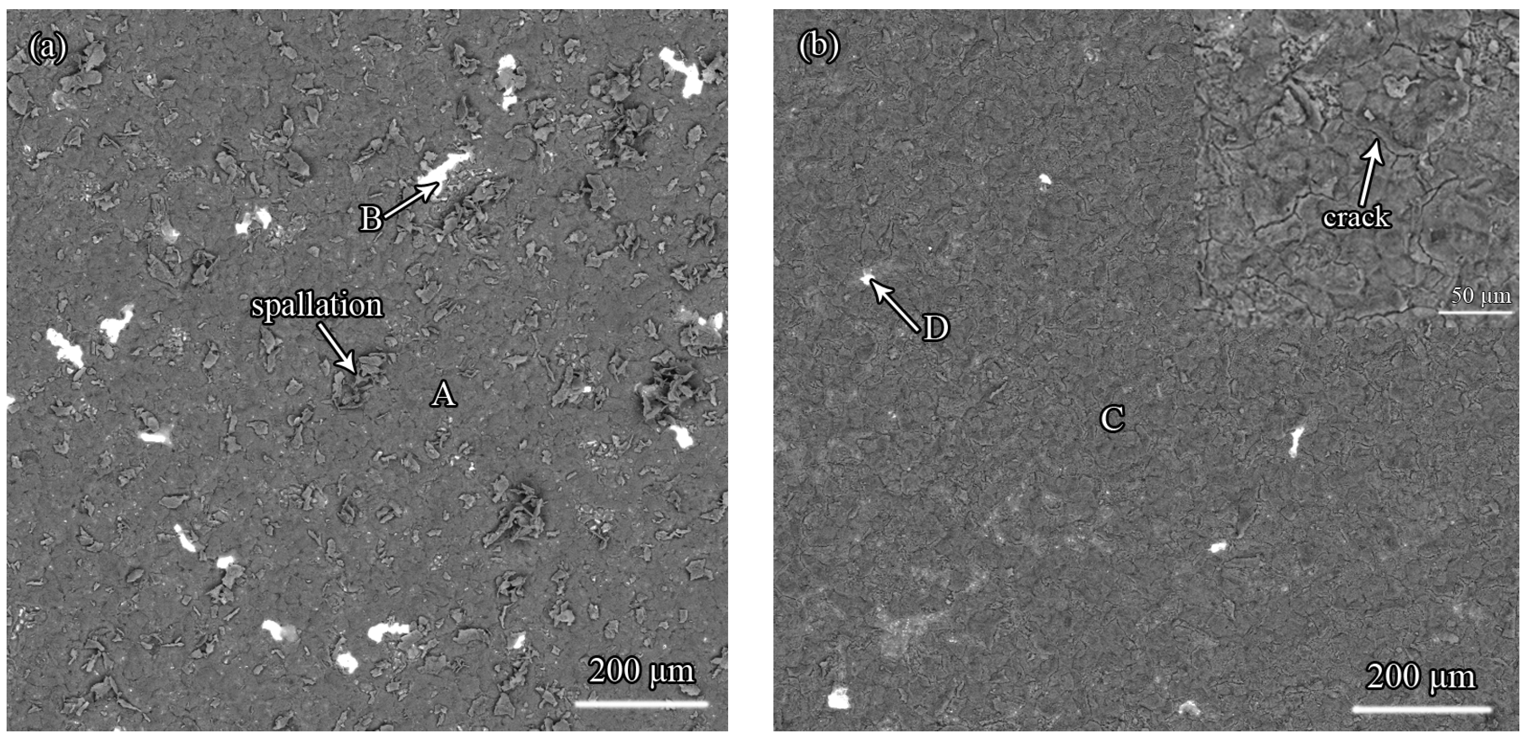 Coatings 08 00001 g010