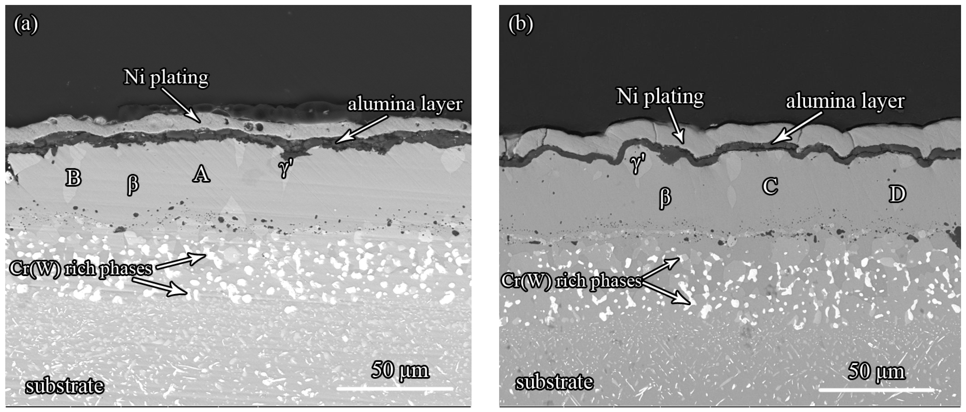 Coatings 08 00001 g011