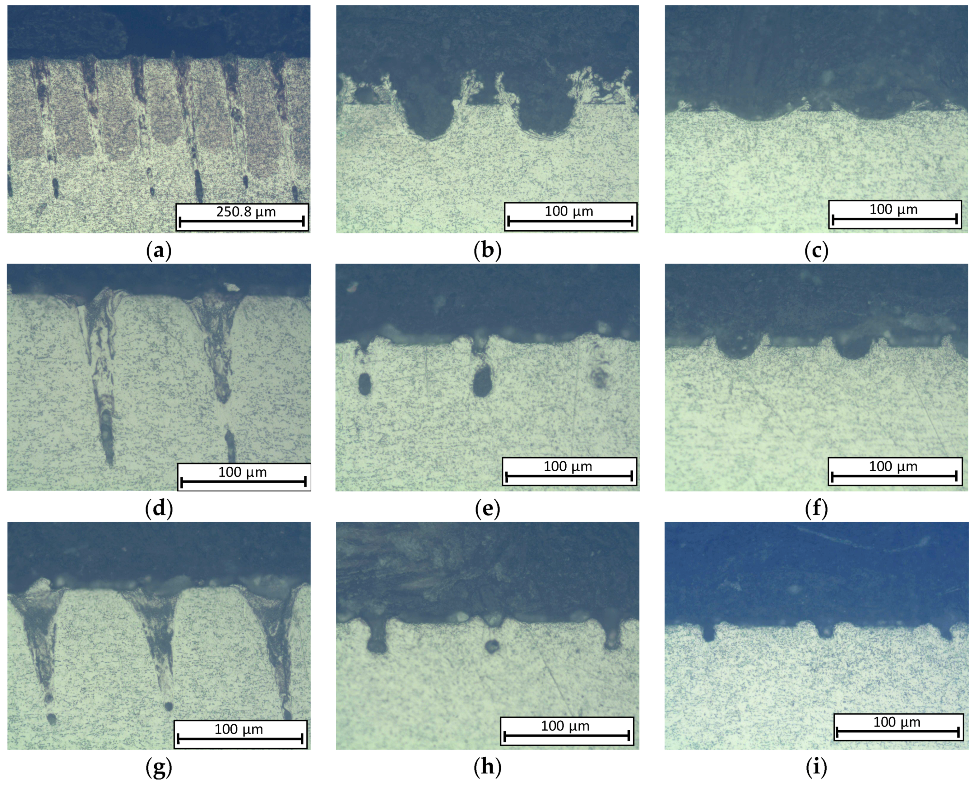 Coatings 08 00006 g005