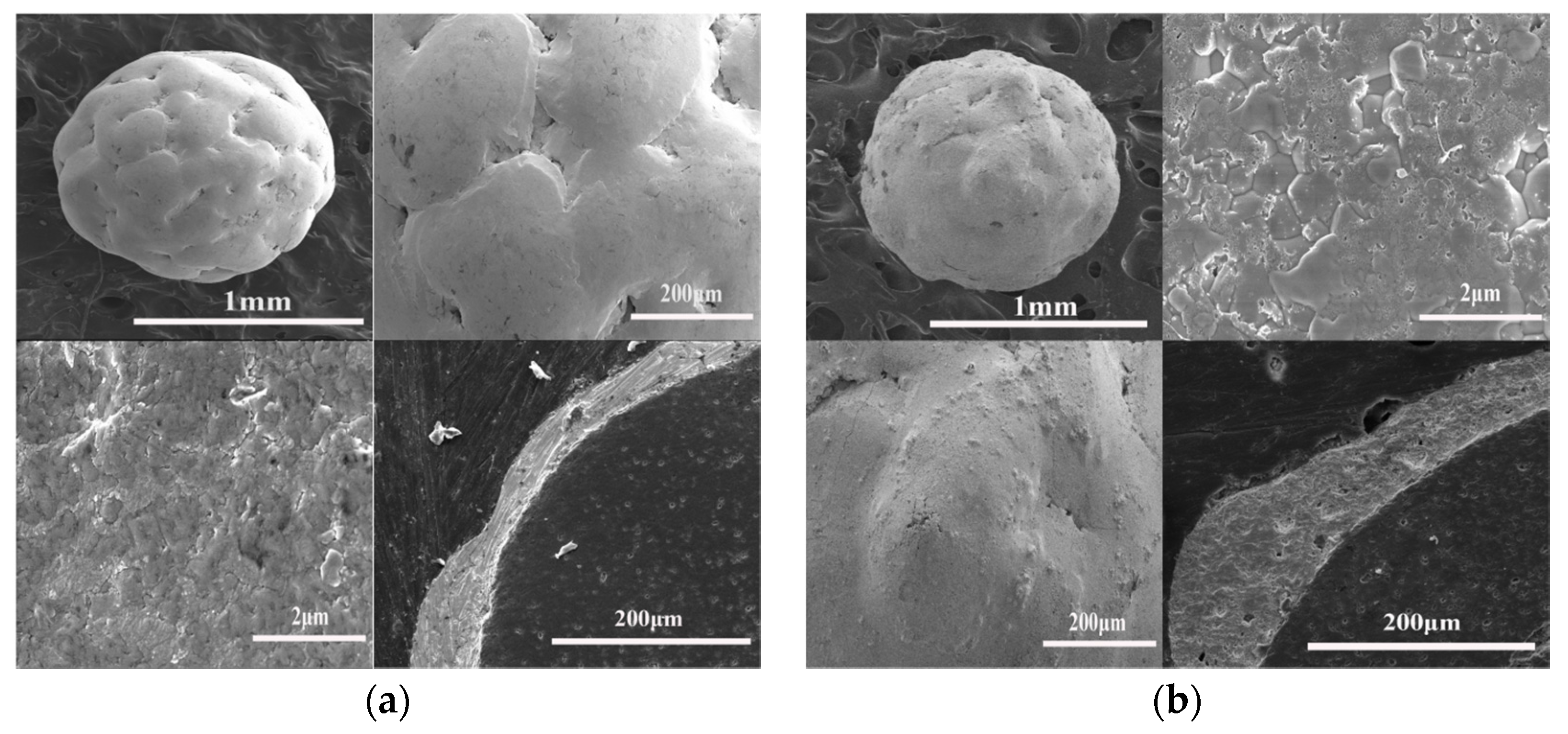 Coatings 08 00014 g002