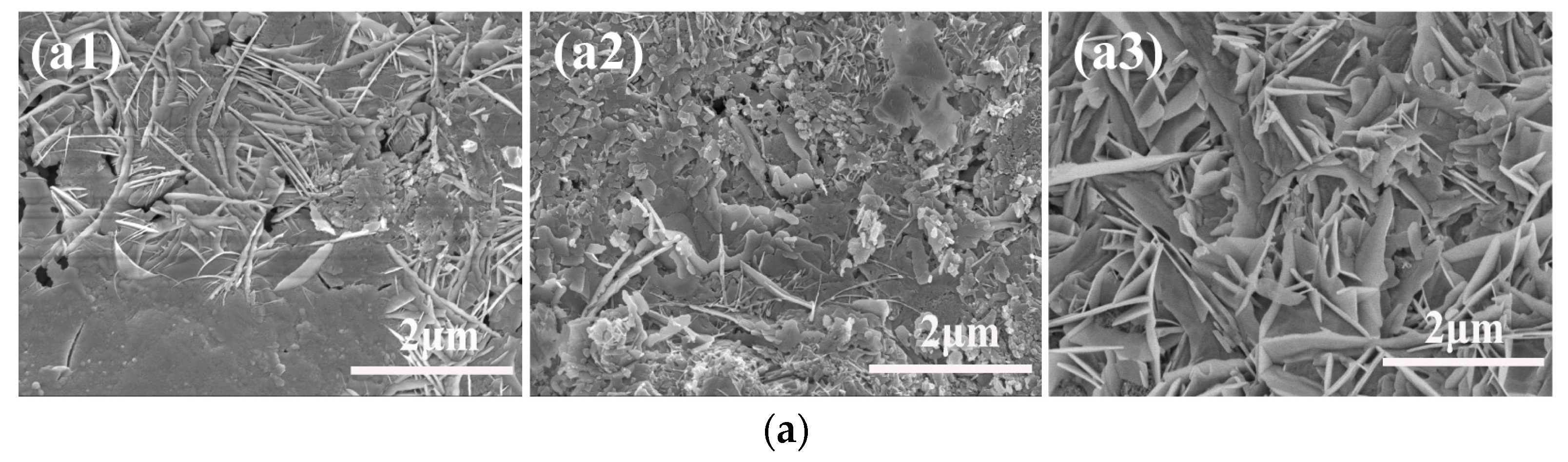 Coatings 08 00014 g003a
