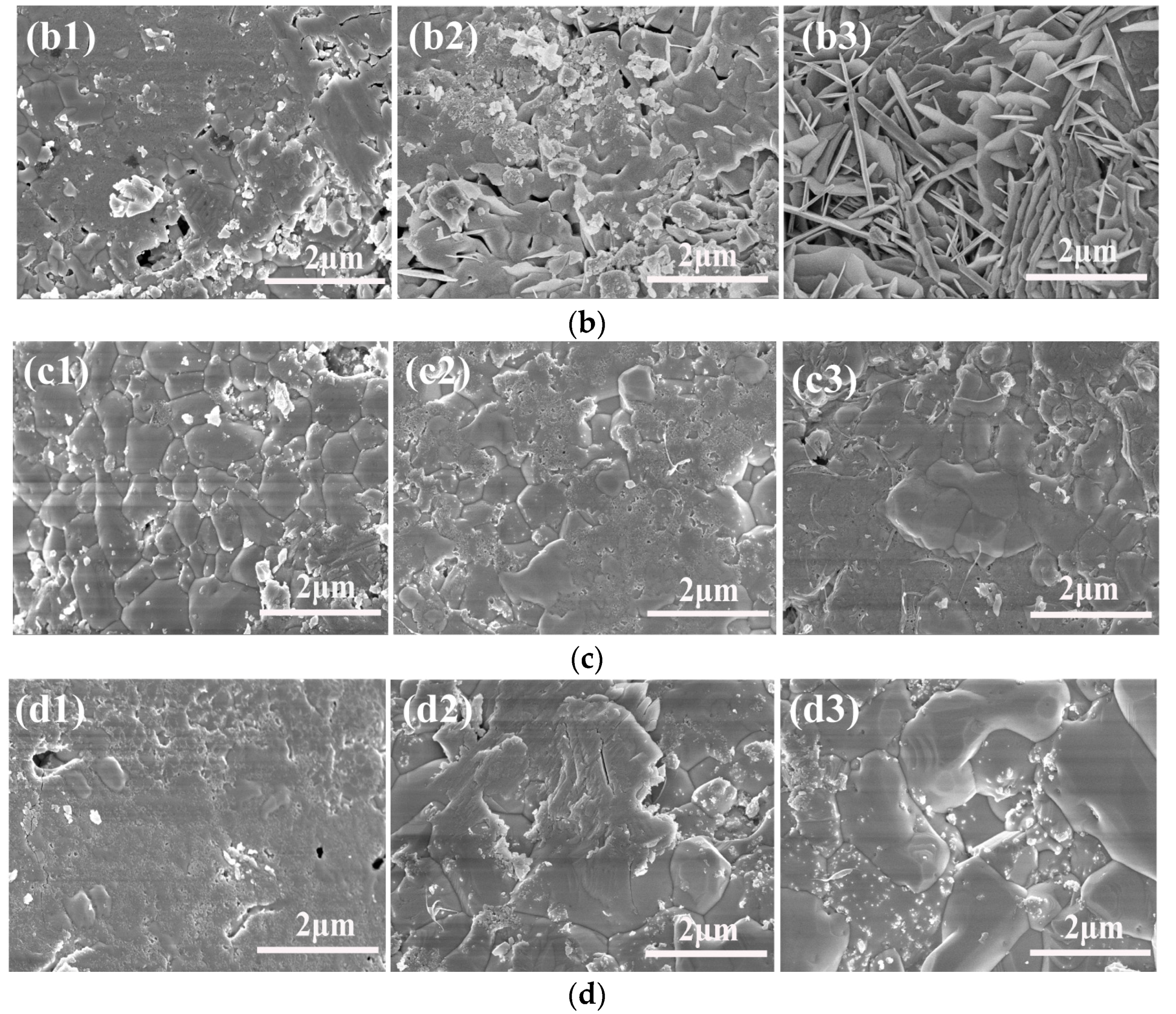 Coatings 08 00014 g003b