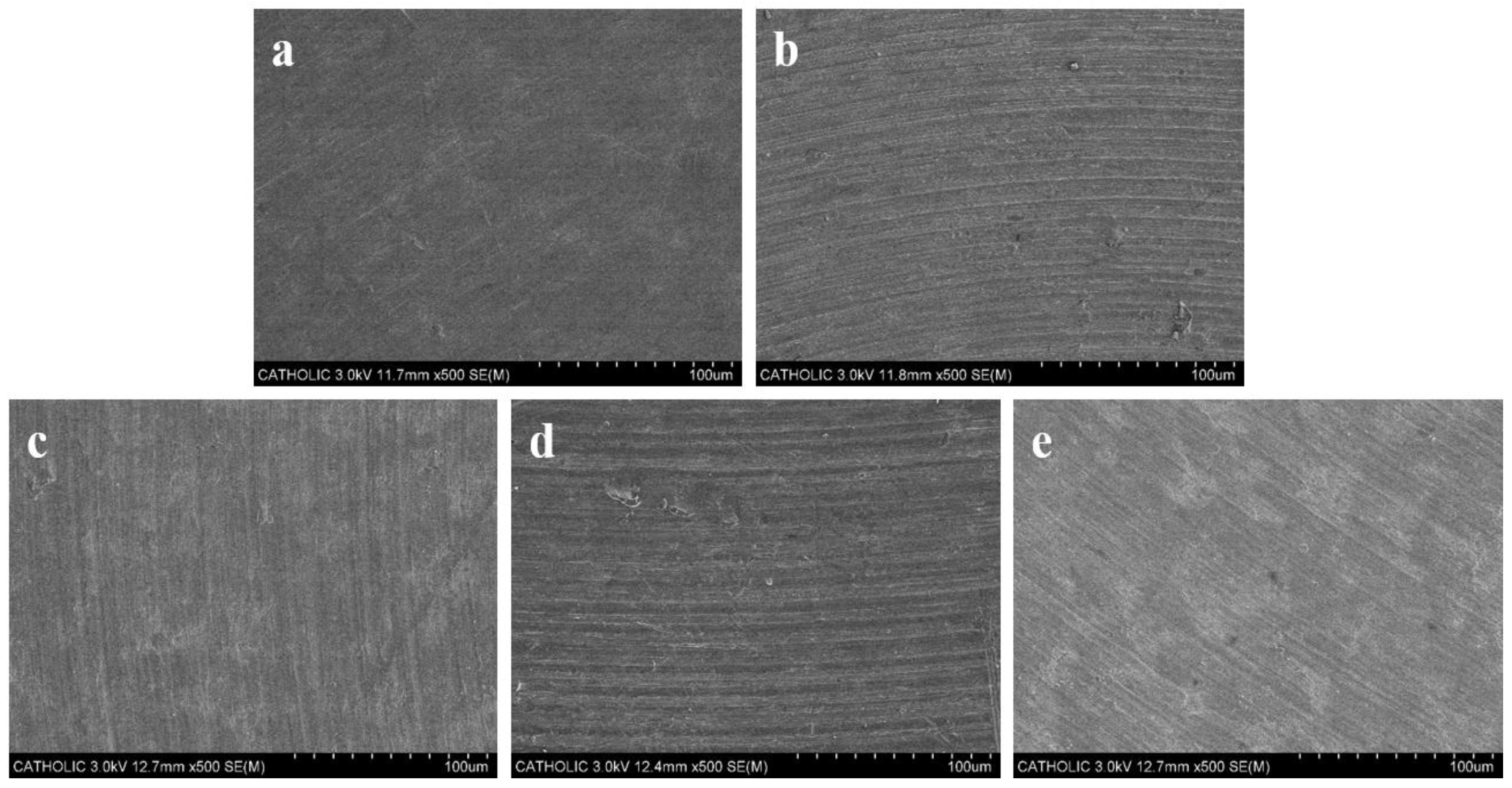 Coatings 08 00017 g003