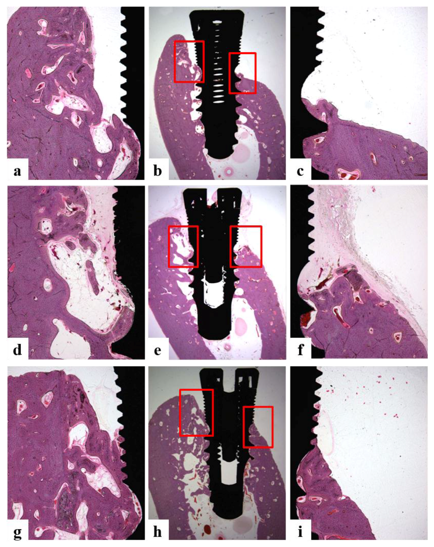 Coatings 08 00017 g009