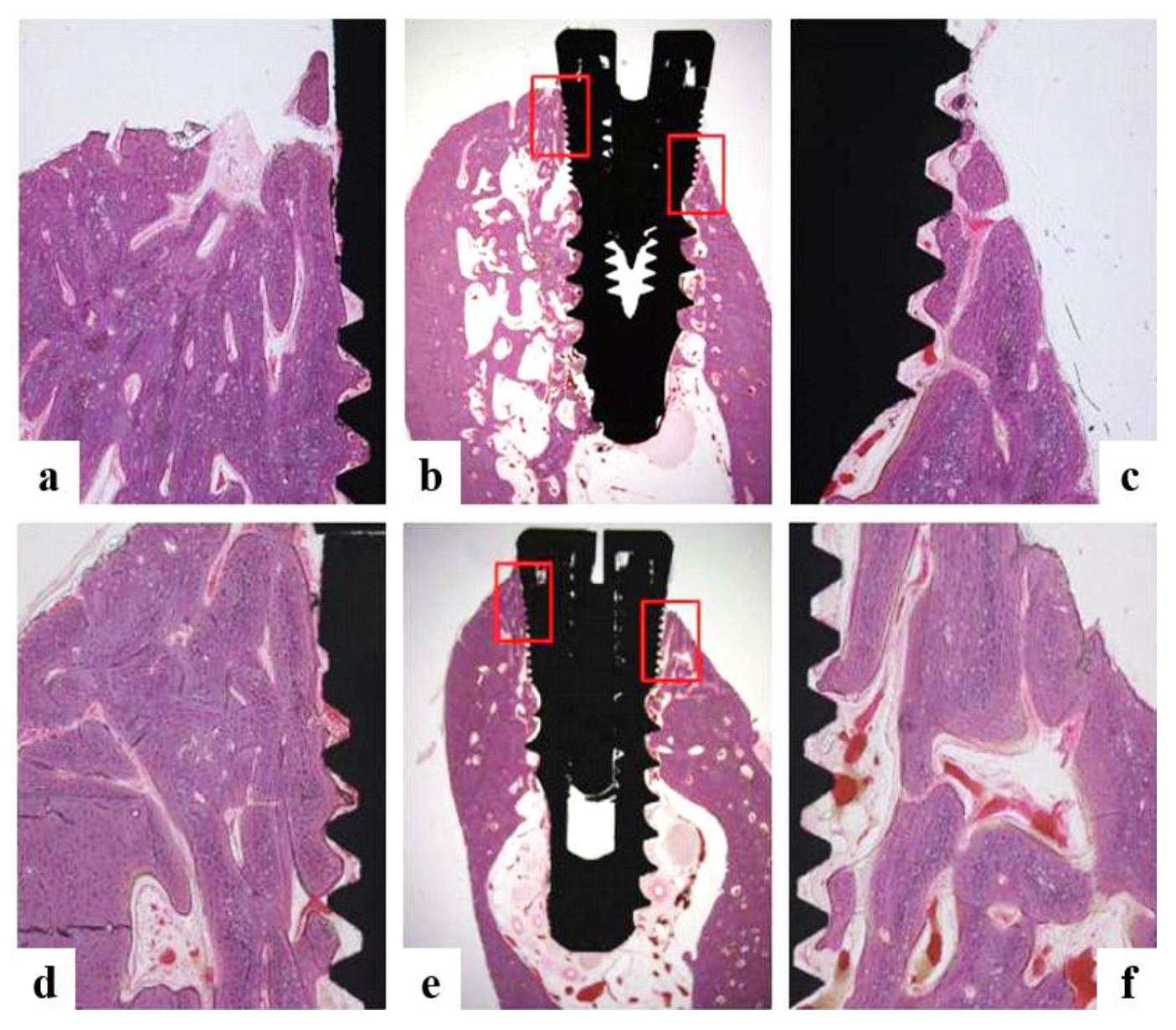 Coatings 08 00017 g010