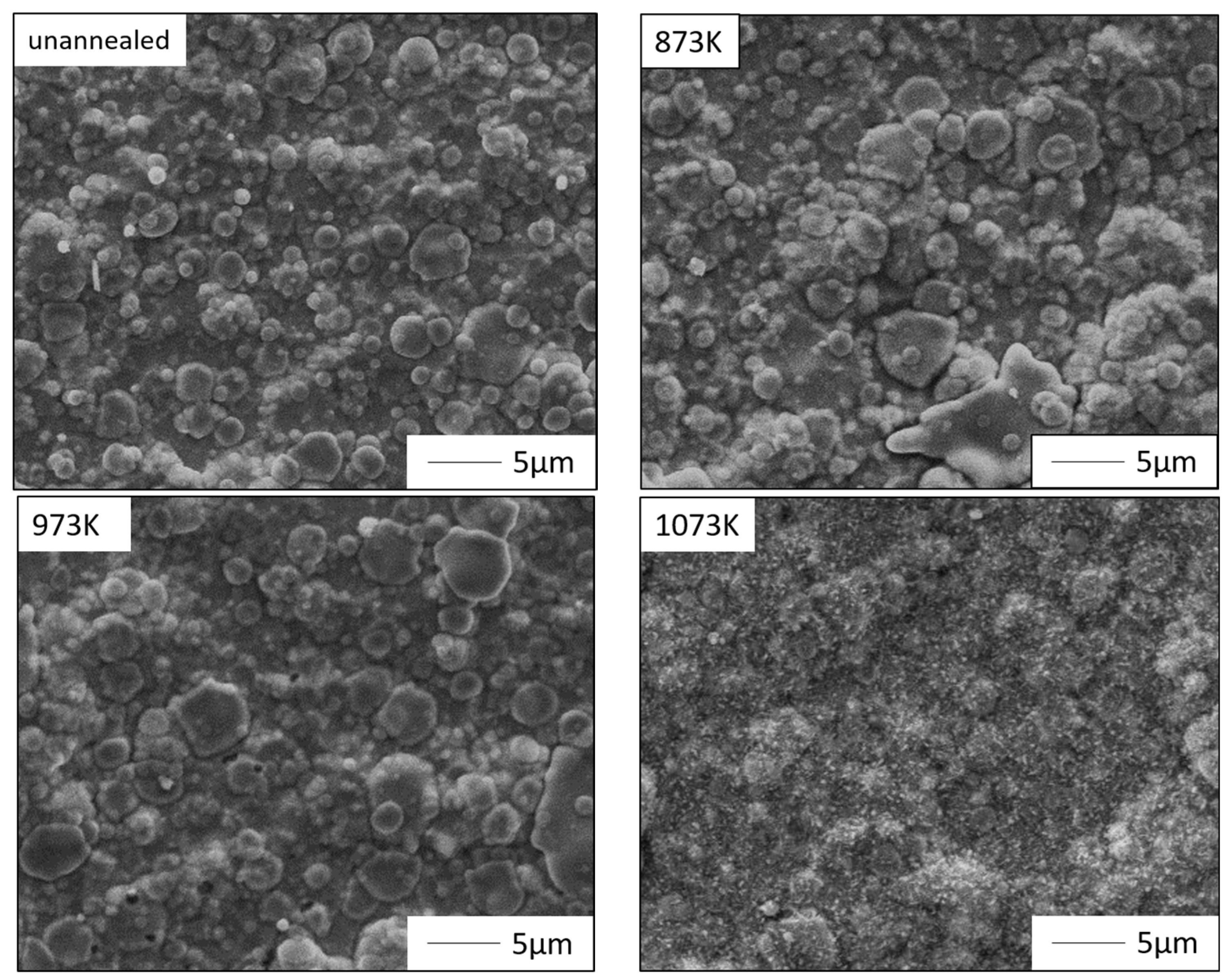 Coatings 08 00020 g005a 550