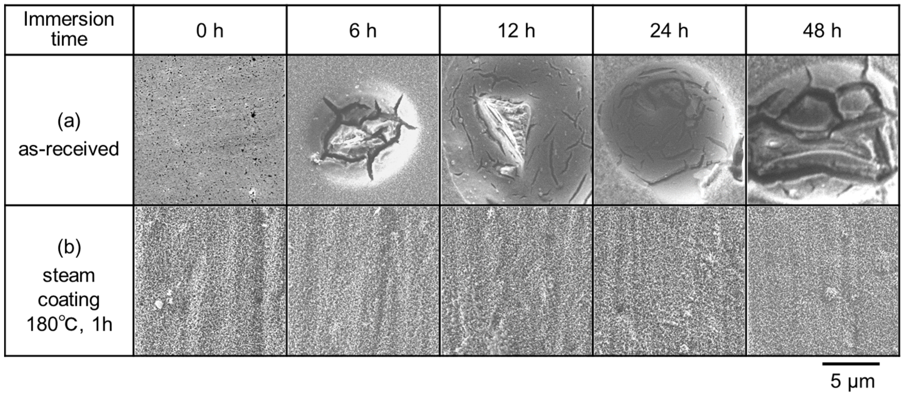 Coatings 08 00023 g008