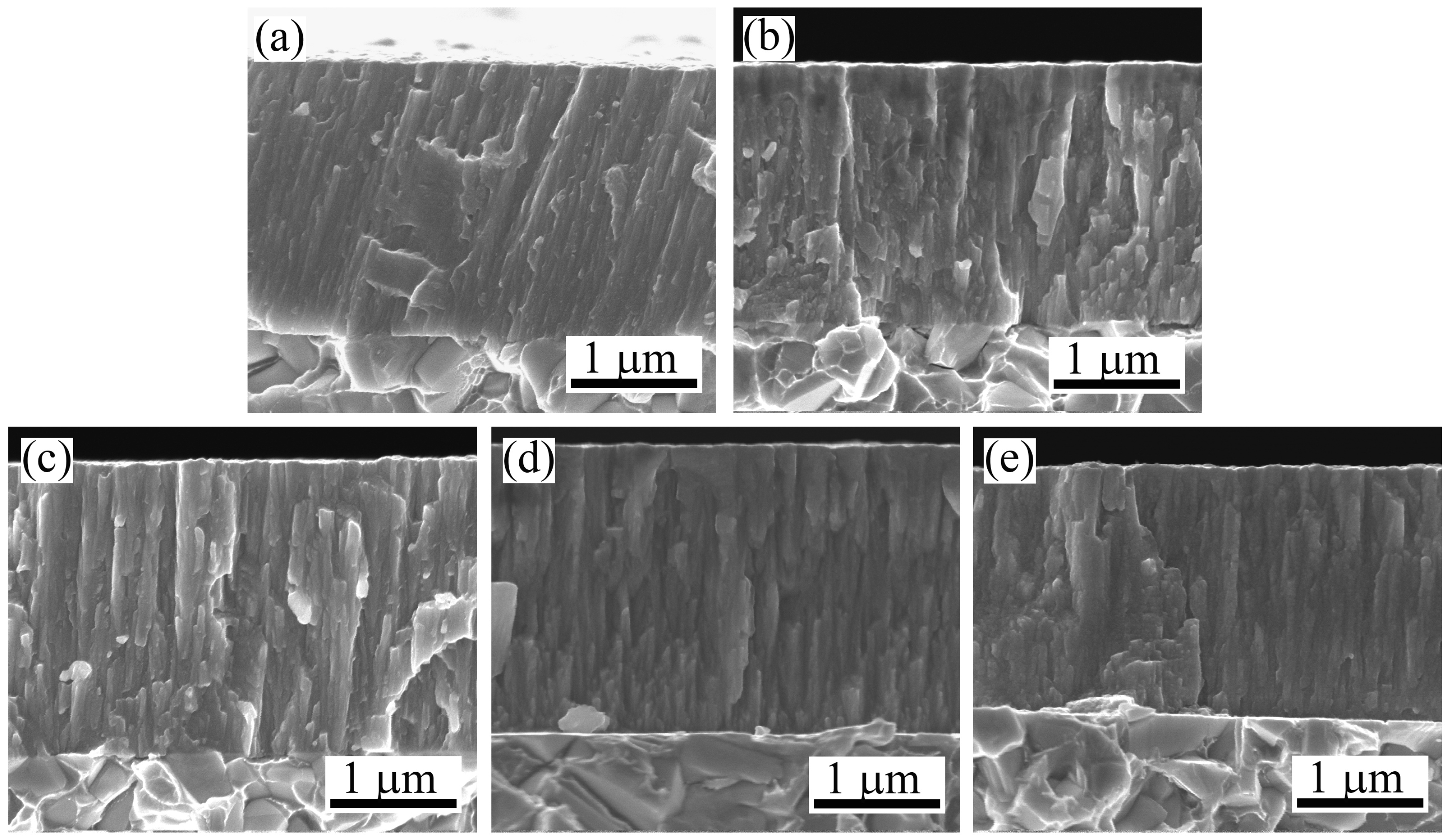 Coatings 08 00024 g004 550