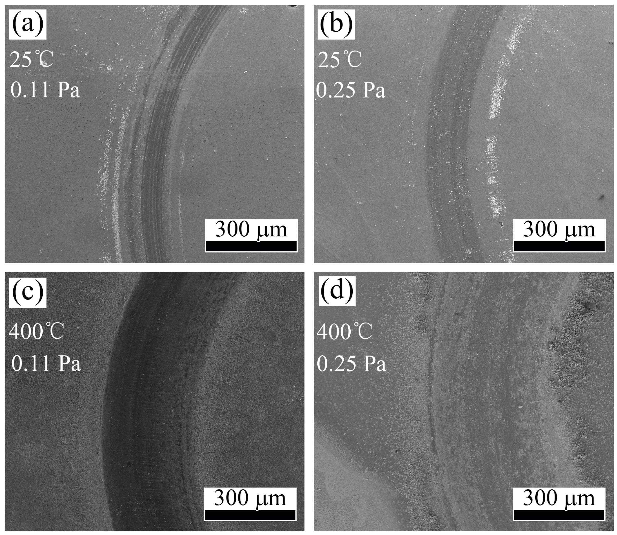 Coatings 08 00024 g009 550