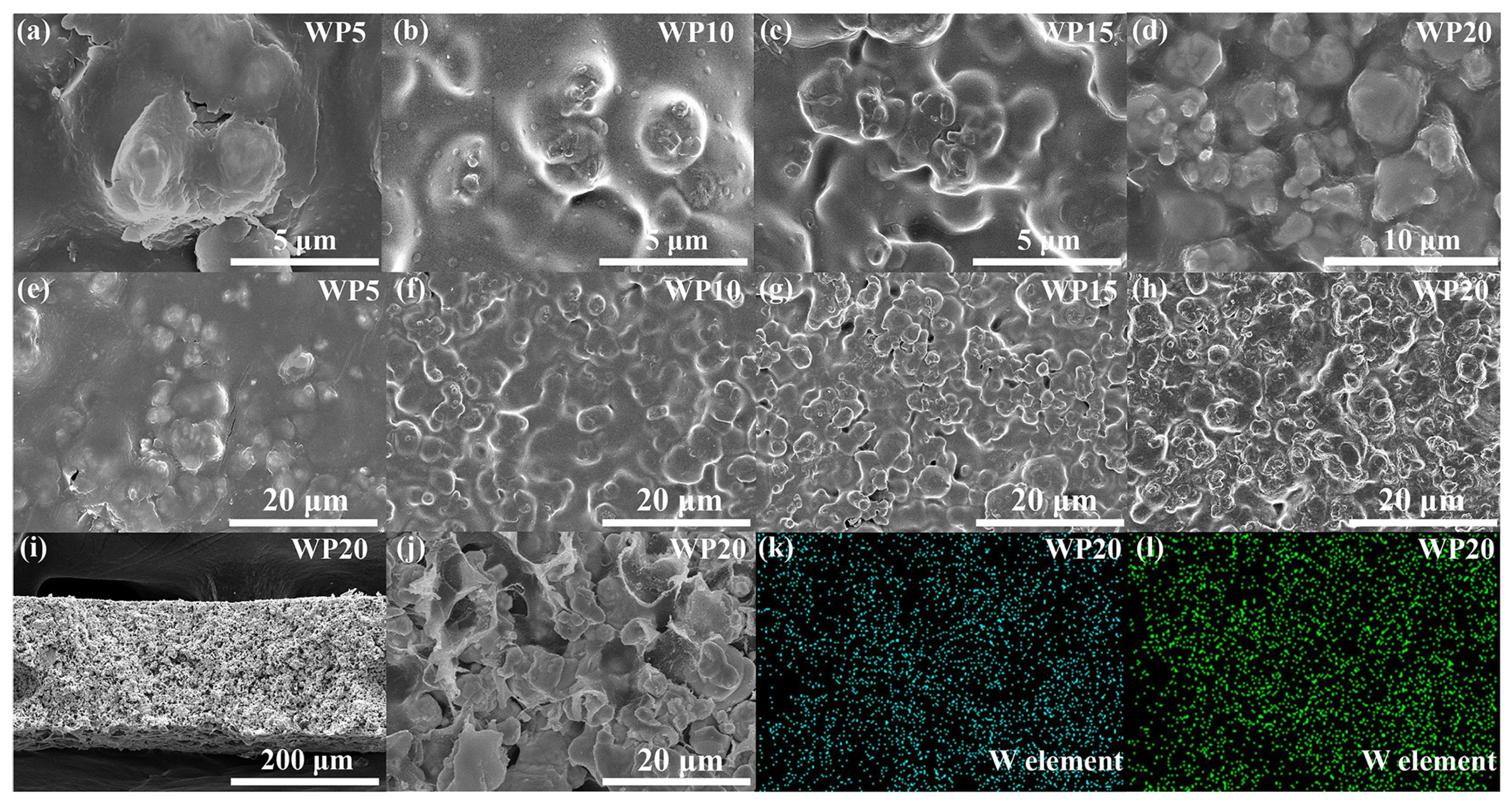 Coatings Free Full Text Flexible N Type Tungsten Carbide Polylactic Acid Thermoelectric Composites Fabricated By Additive Manufacturing Html Coatings Free Full Text Flexible N Type Tungsten Carbide Polylactic Acid Thermoelectric Composites Fabricated By Additive Manufacturing Html