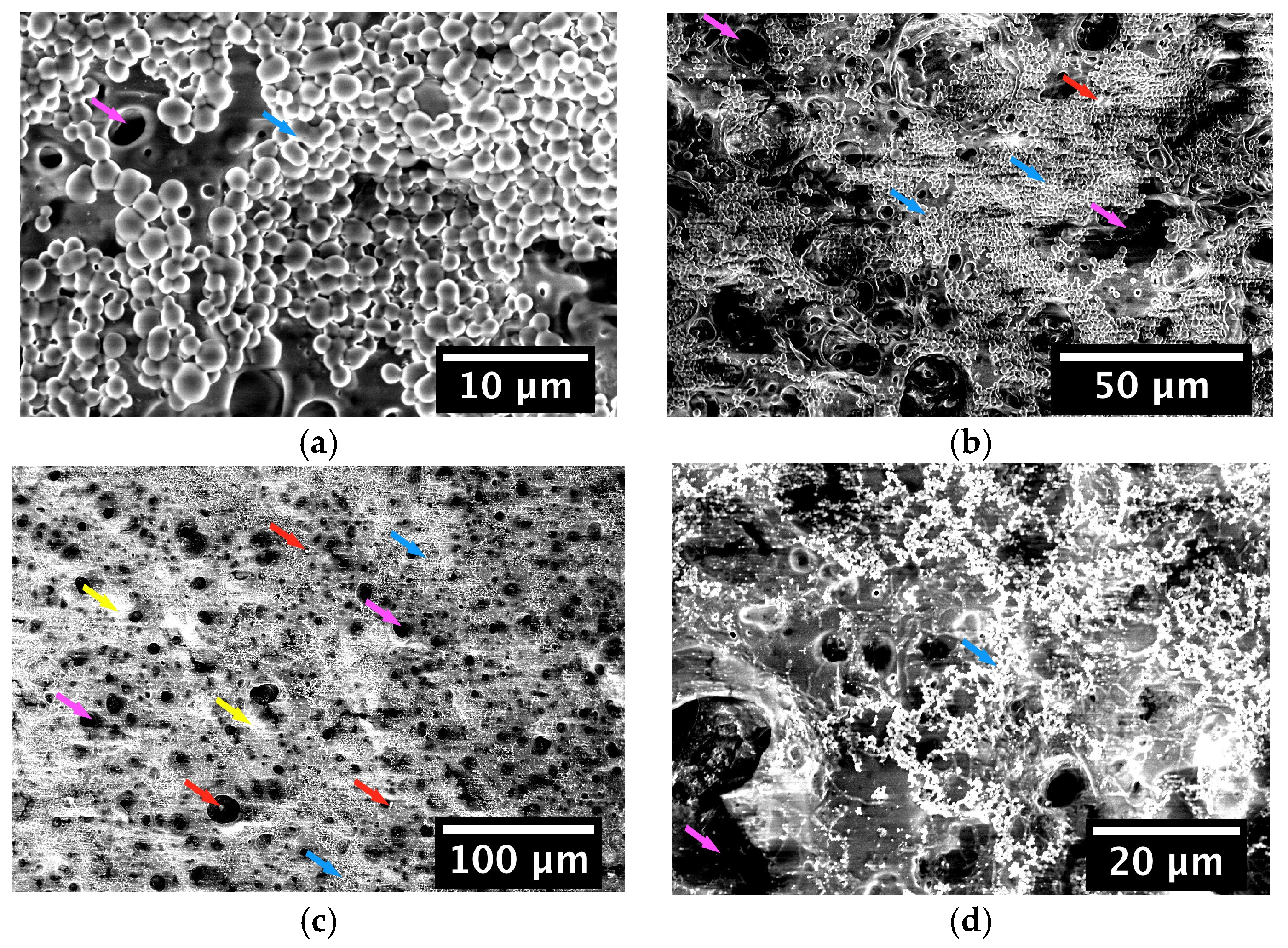 Coatings 08 00027 g007