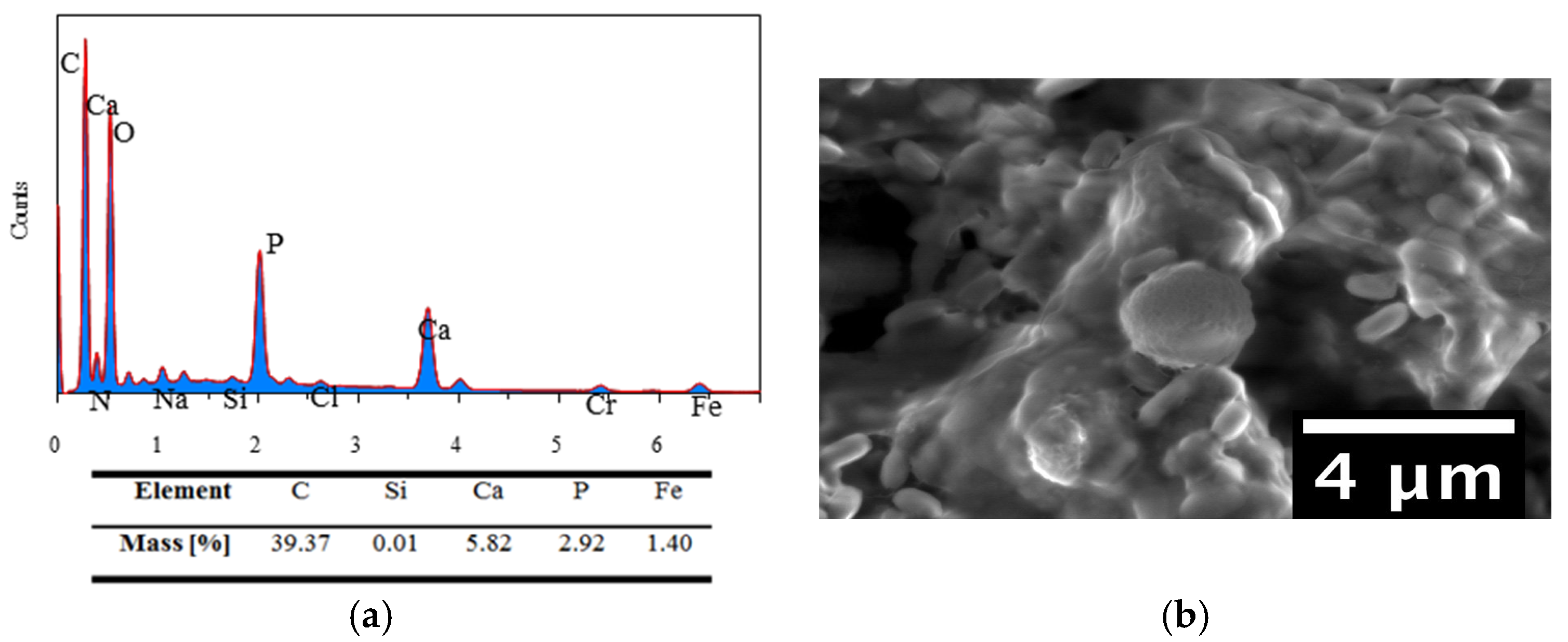Coatings 08 00027 g008