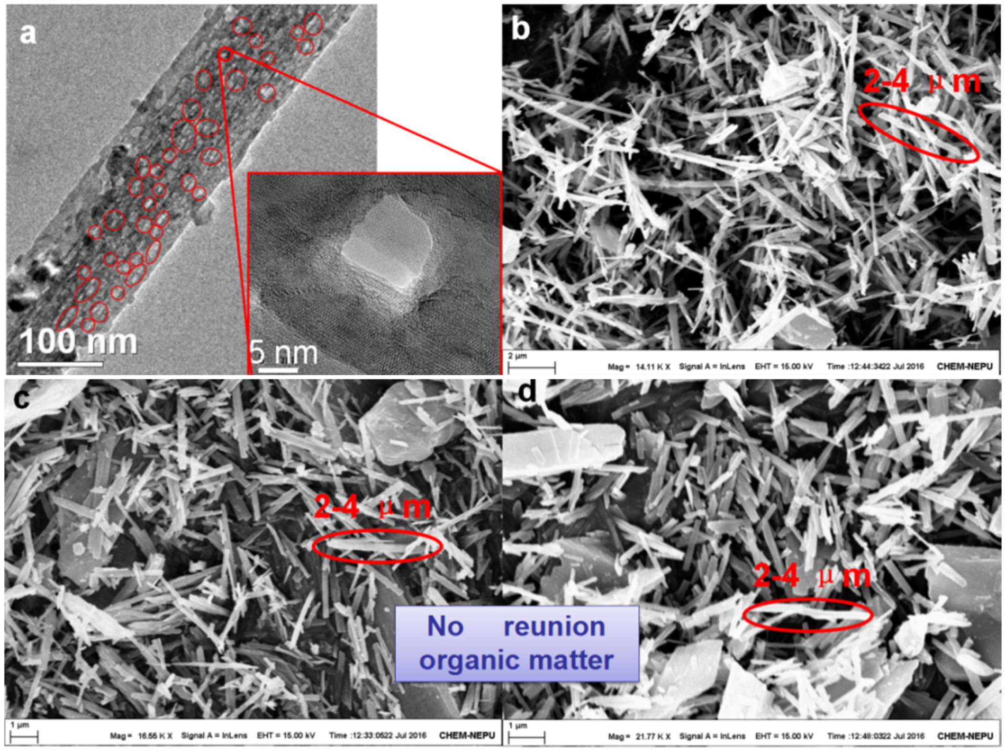 Coatings 08 00029 g002 550
