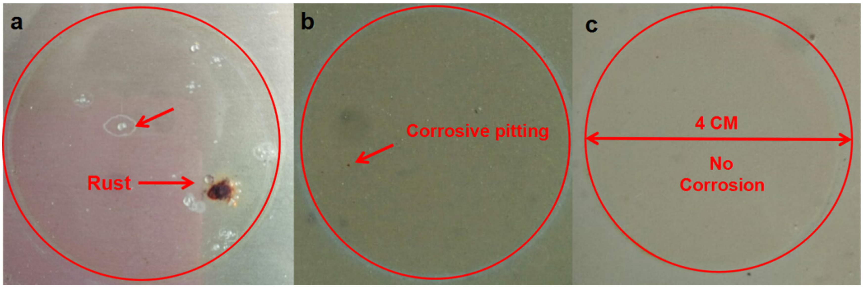 Coatings 08 00029 g007 550