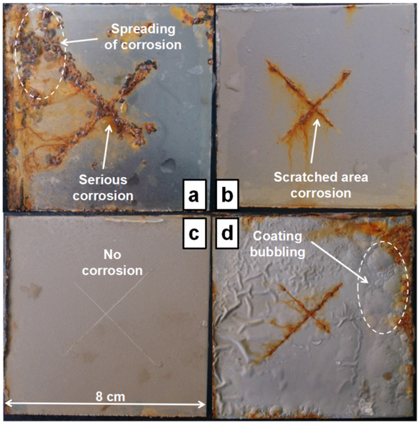 Coatings 08 00029 g008 550