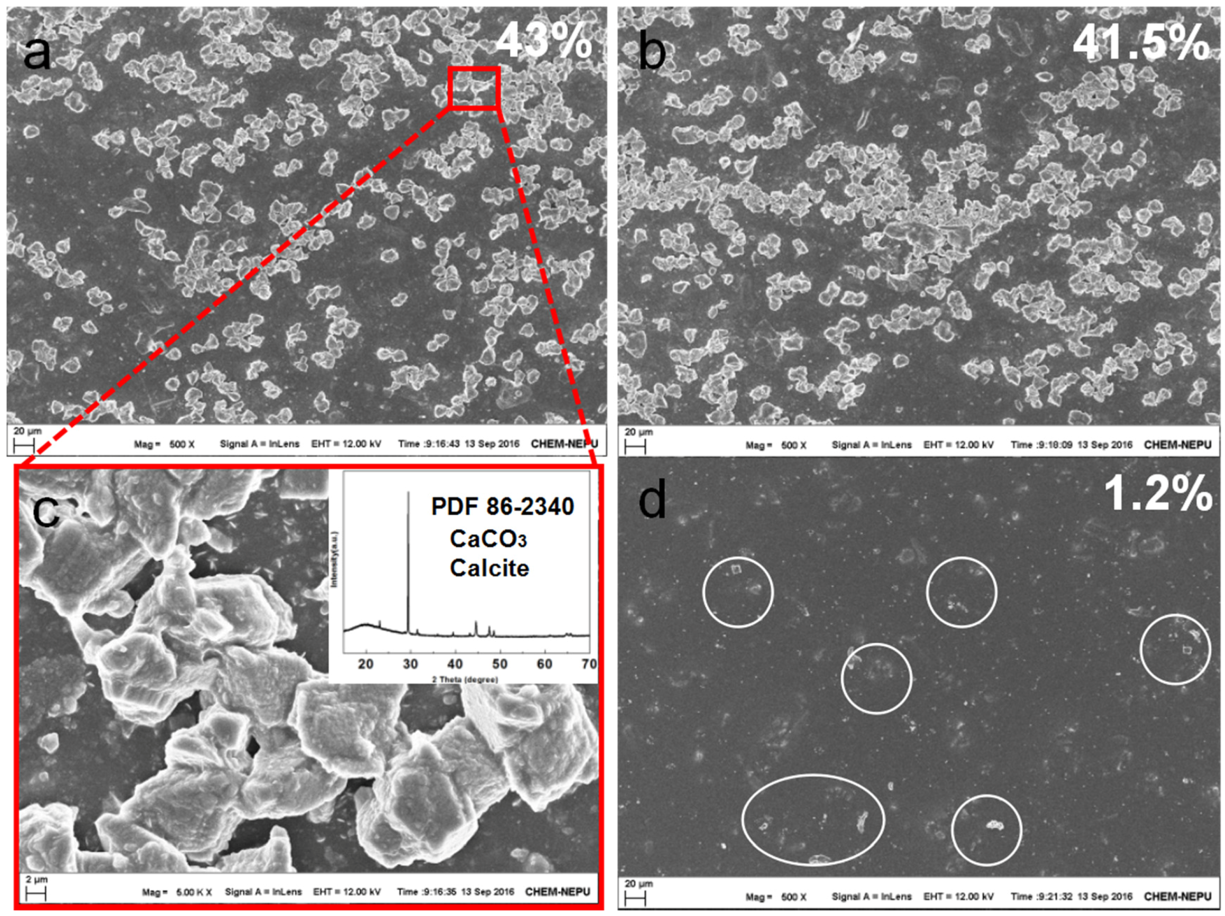 Coatings 08 00029 g009 550