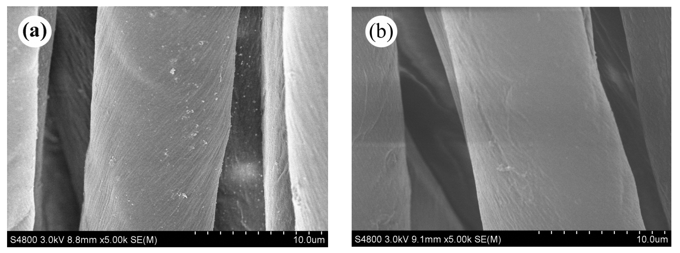 Coatings 08 00031 g005