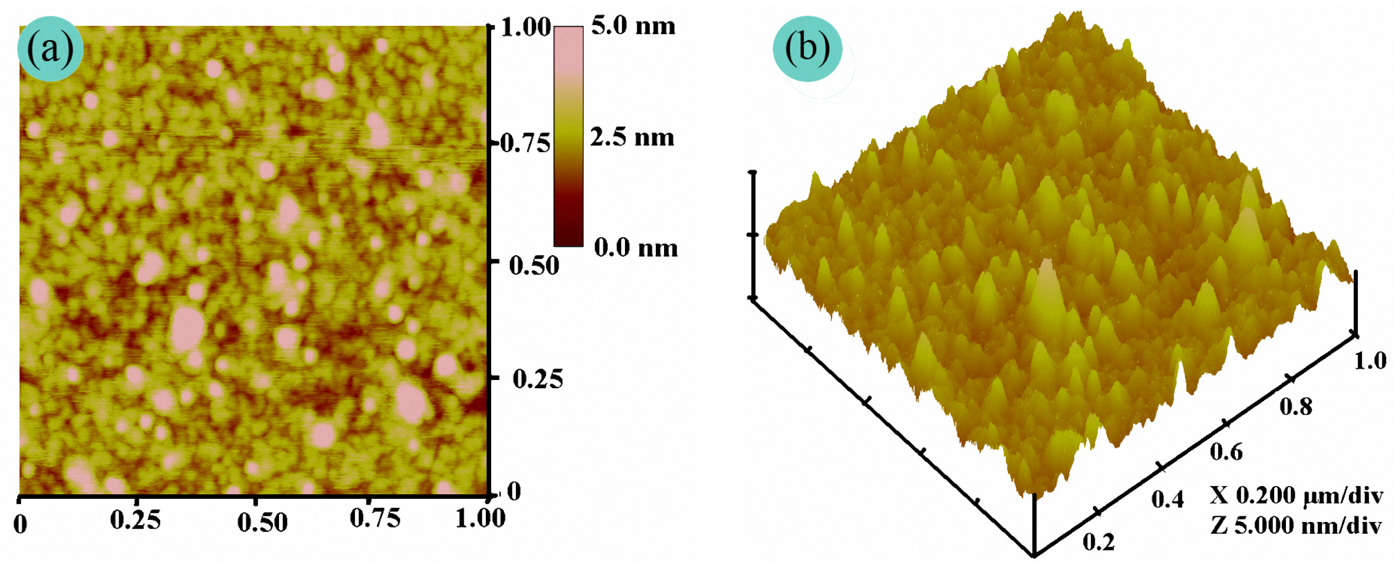 Coatings 08 00031 g006