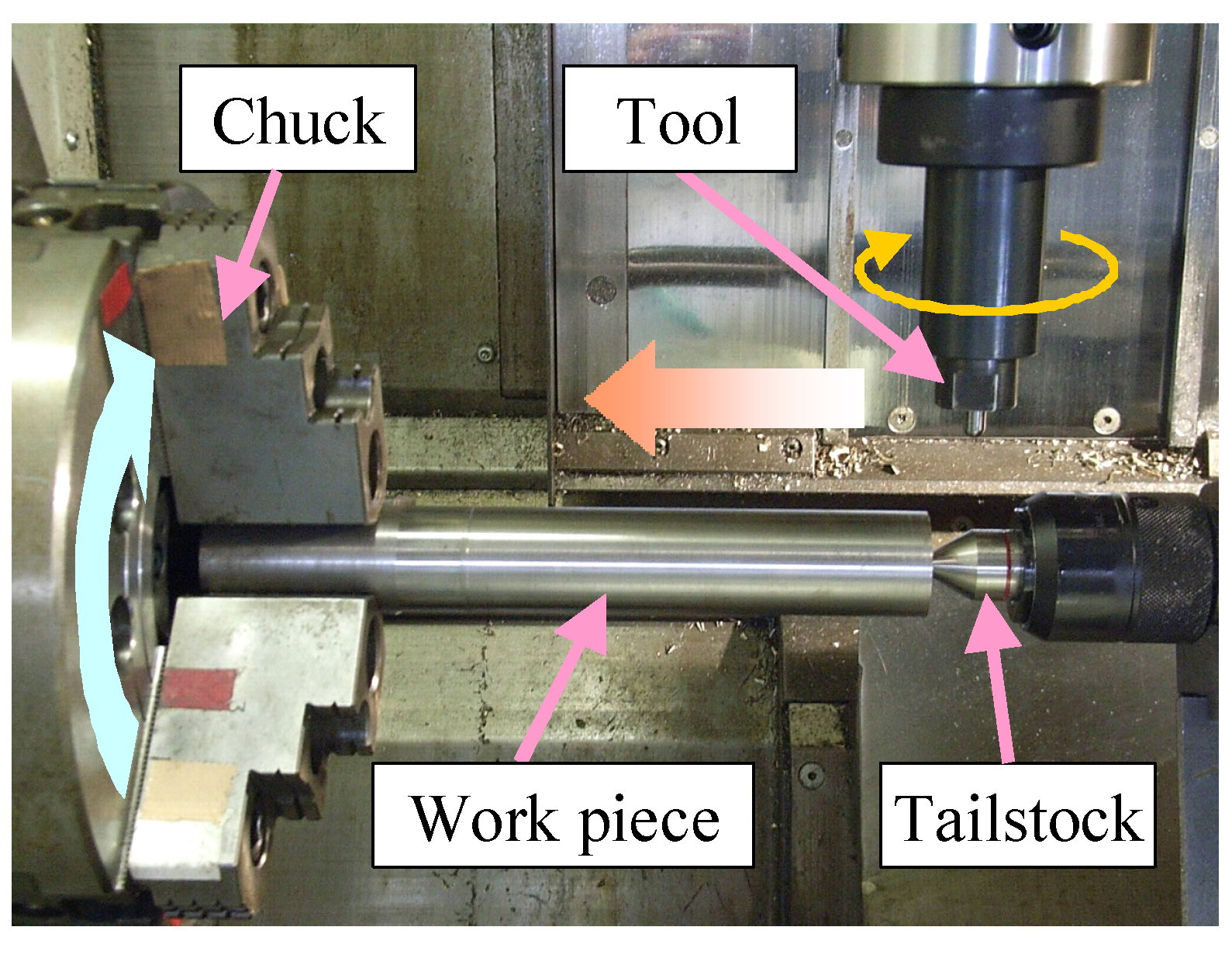 Coatings 08 00032 g003 550