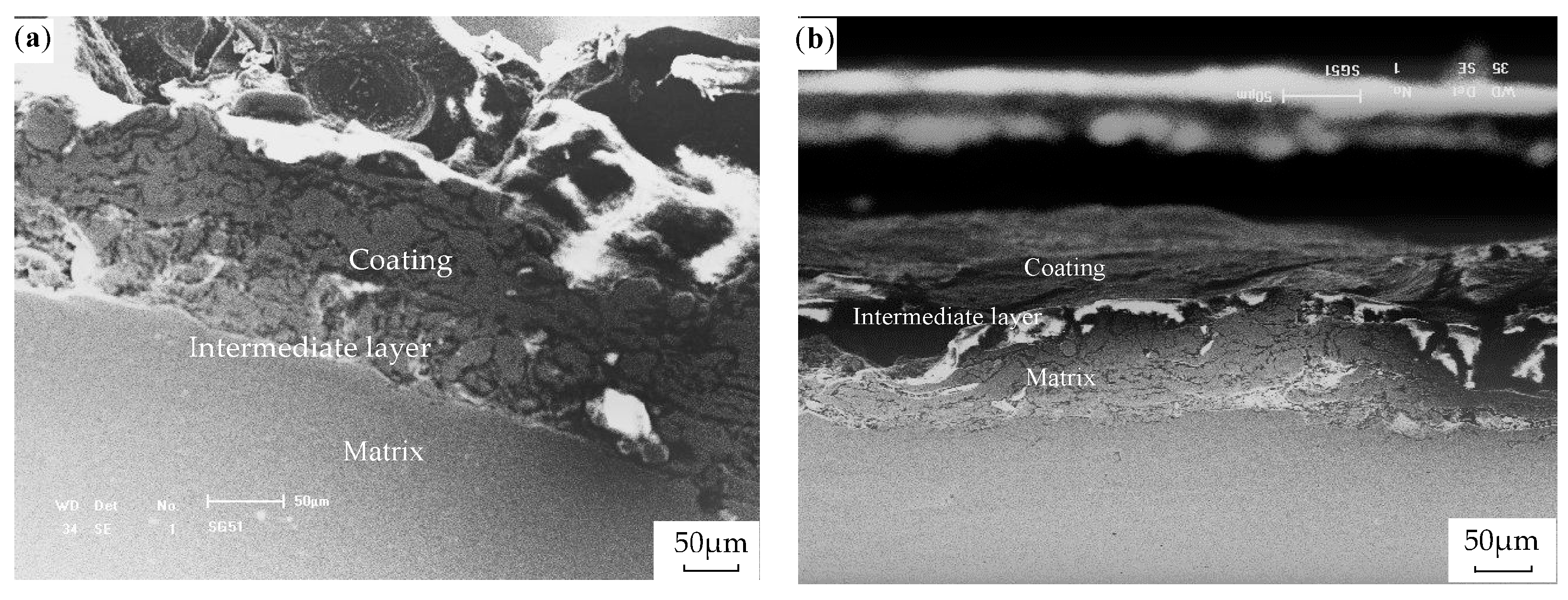Coatings 08 00036 g002 550