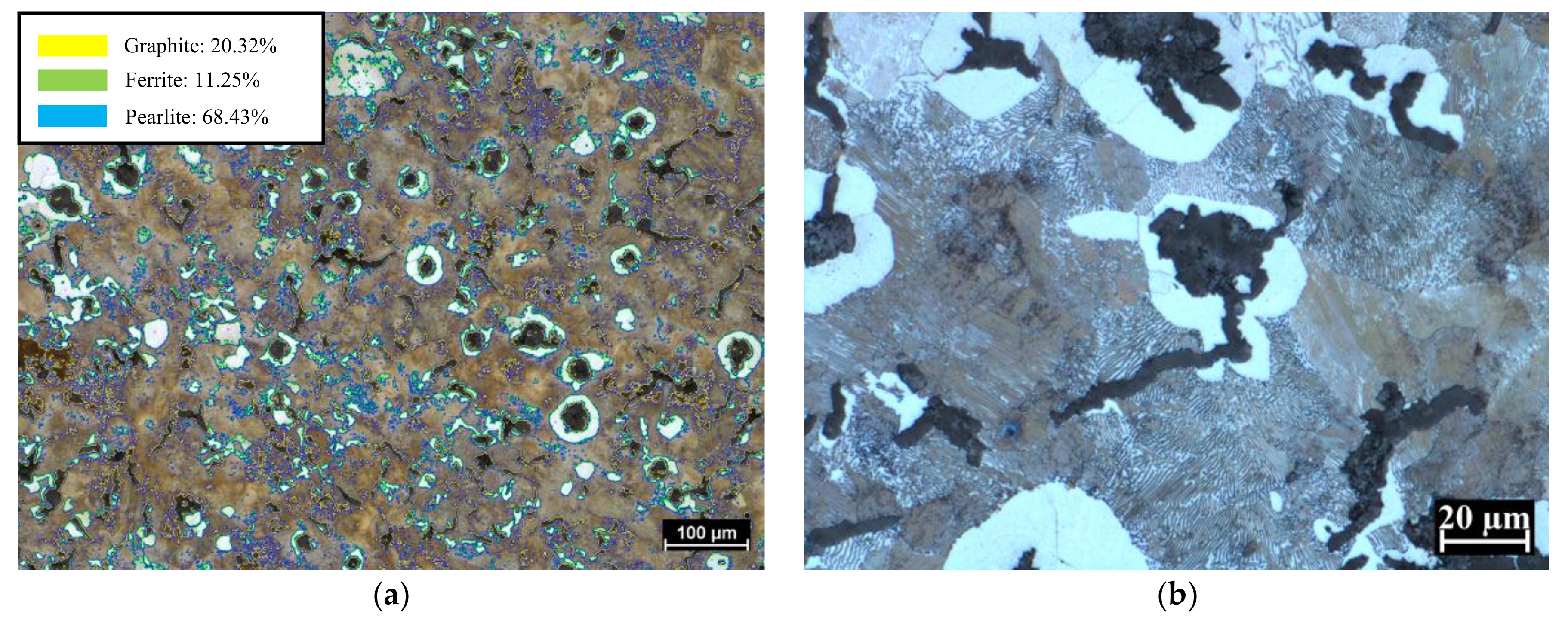 Coatings 08 00038 g001