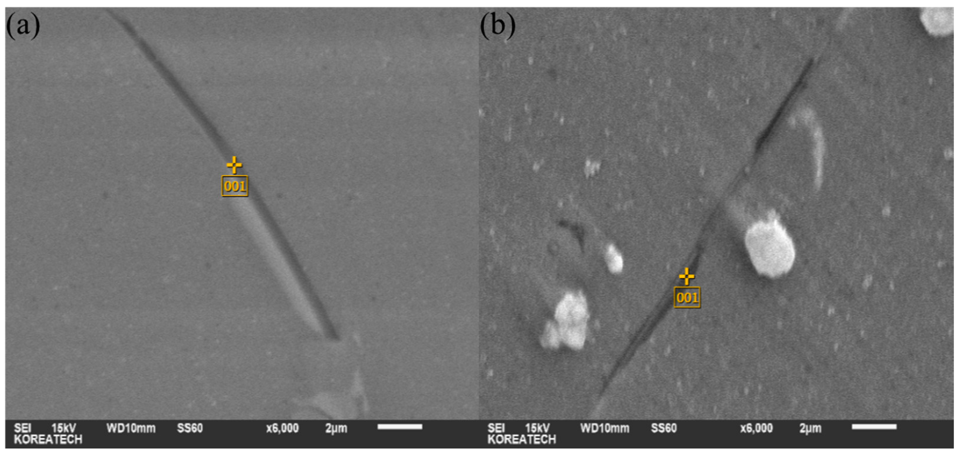 Coatings 08 00039 g007 550