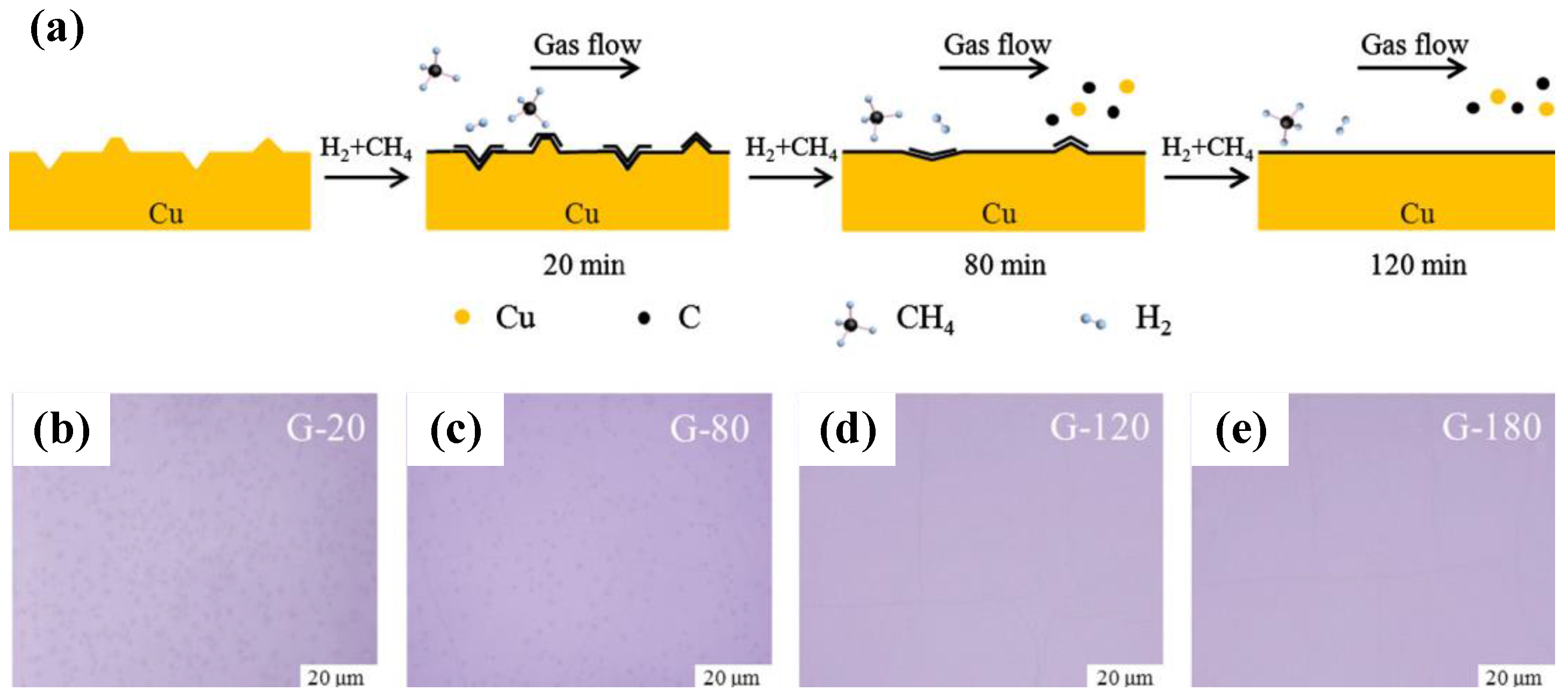 Coatings 08 00040 g009