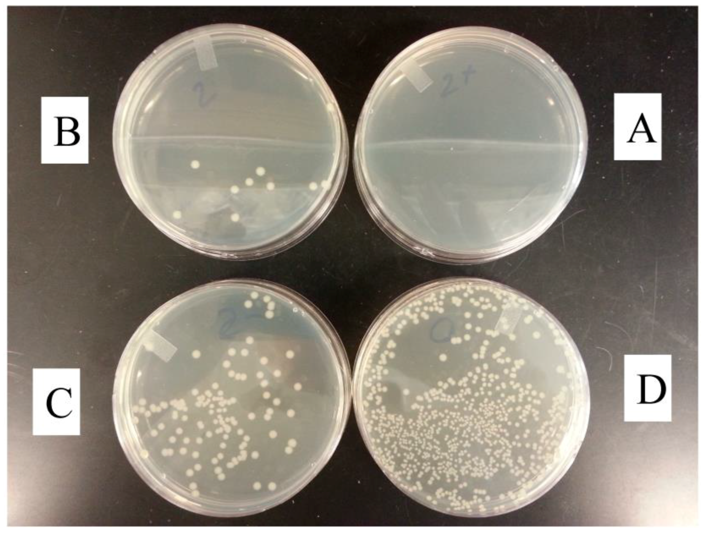 Coatings 08 00041 g007 Coatings 08 00041 g007