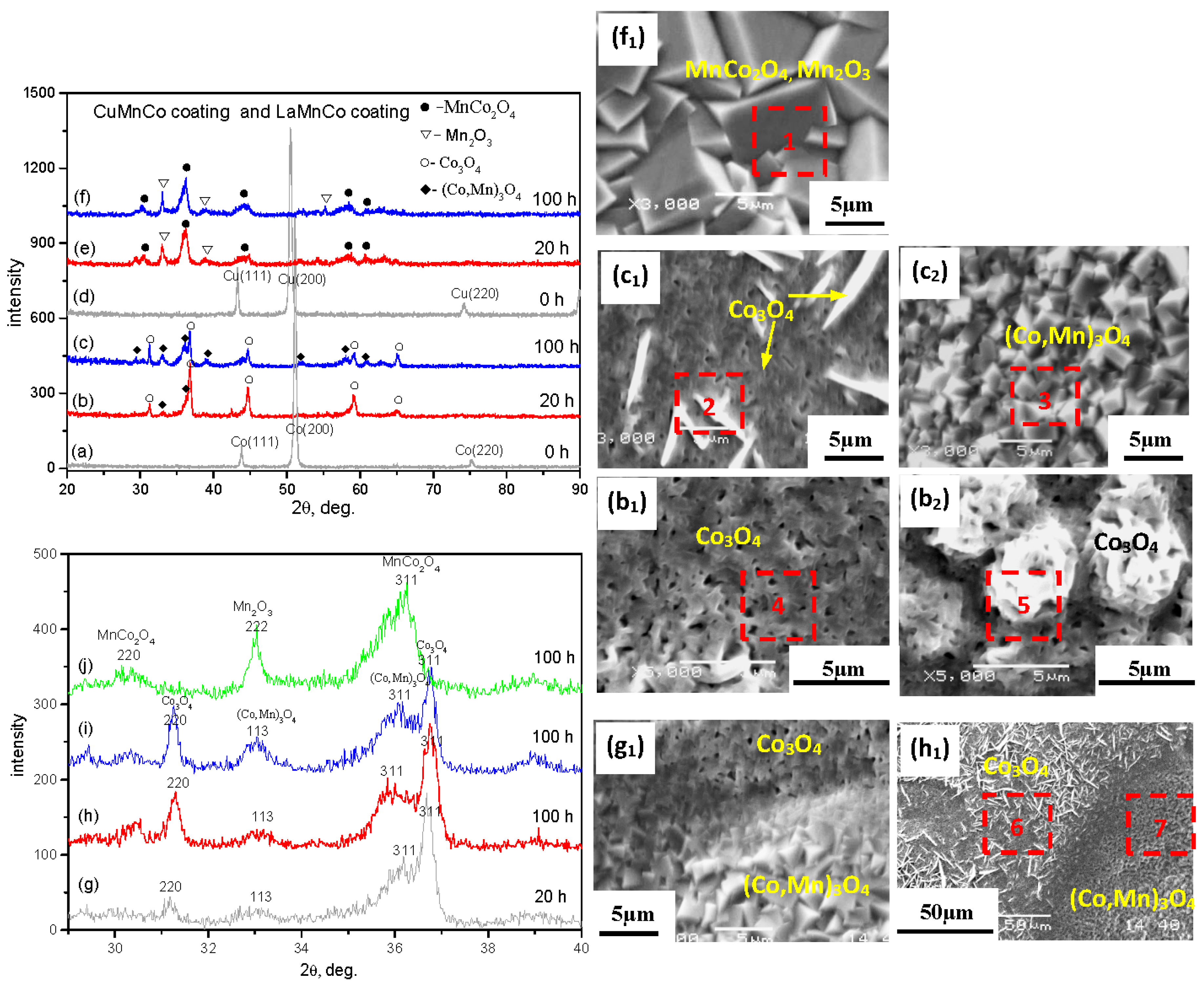 Coatings 08 00042 g002 550
