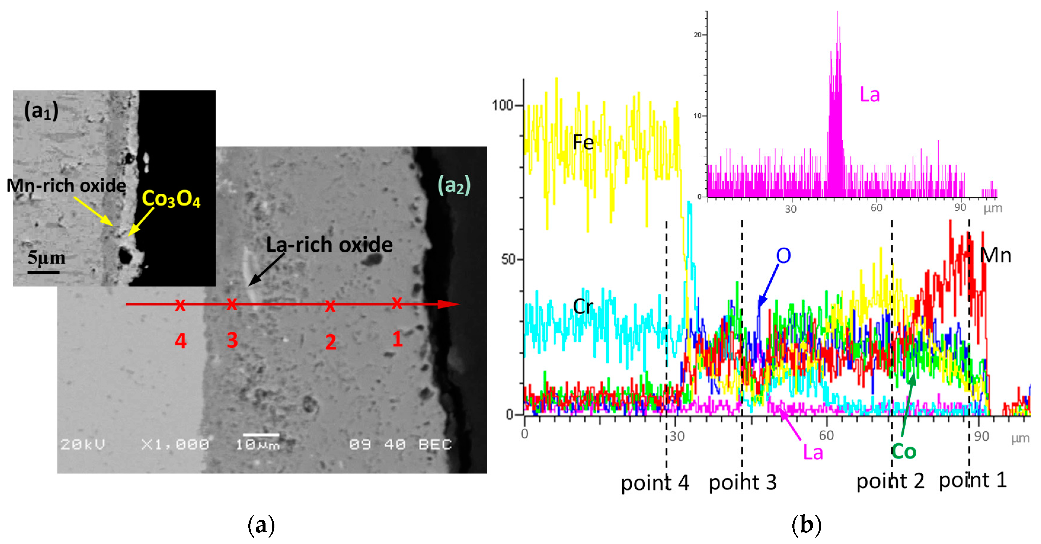 Coatings 08 00042 g004 550