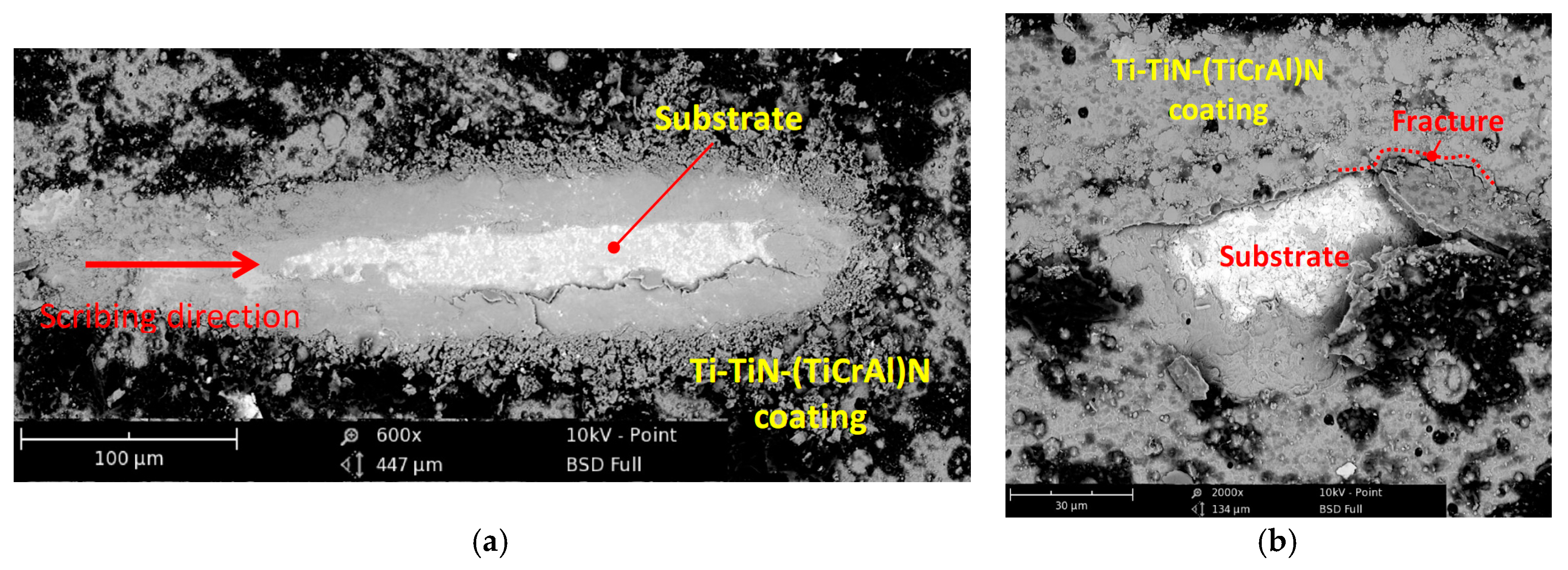 Coatings 08 00044 g002
