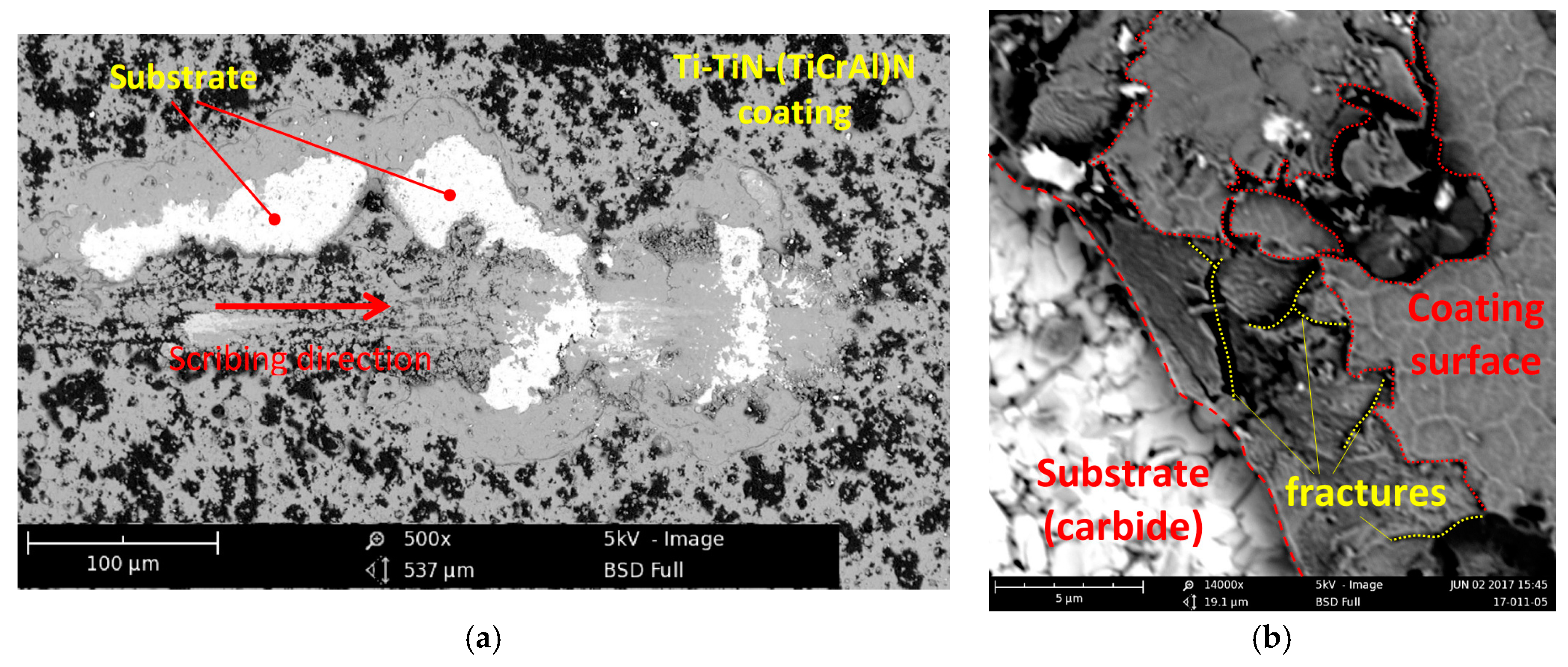 Coatings 08 00044 g003