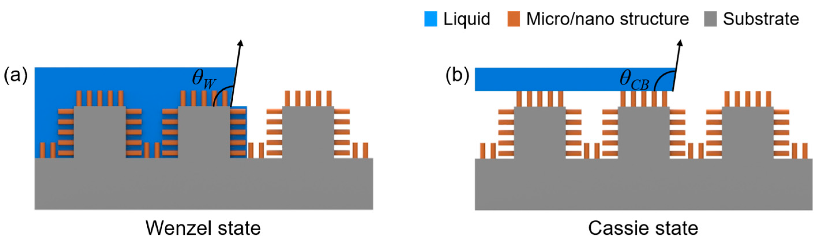 Coatings 08 00047 g002a Coatings 08 00047 g002a