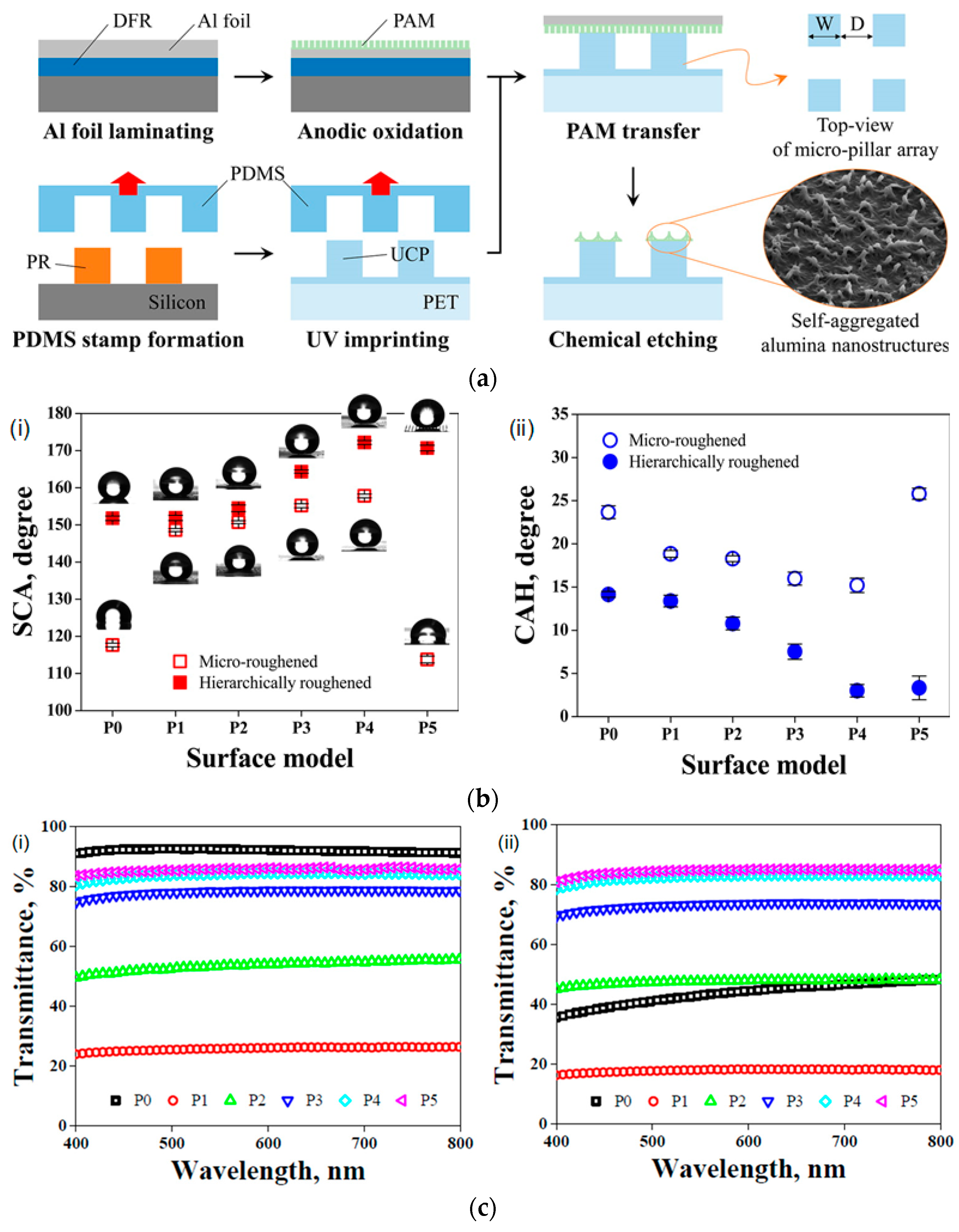 Coatings 08 00047 g007a Coatings 08 00047 g007a