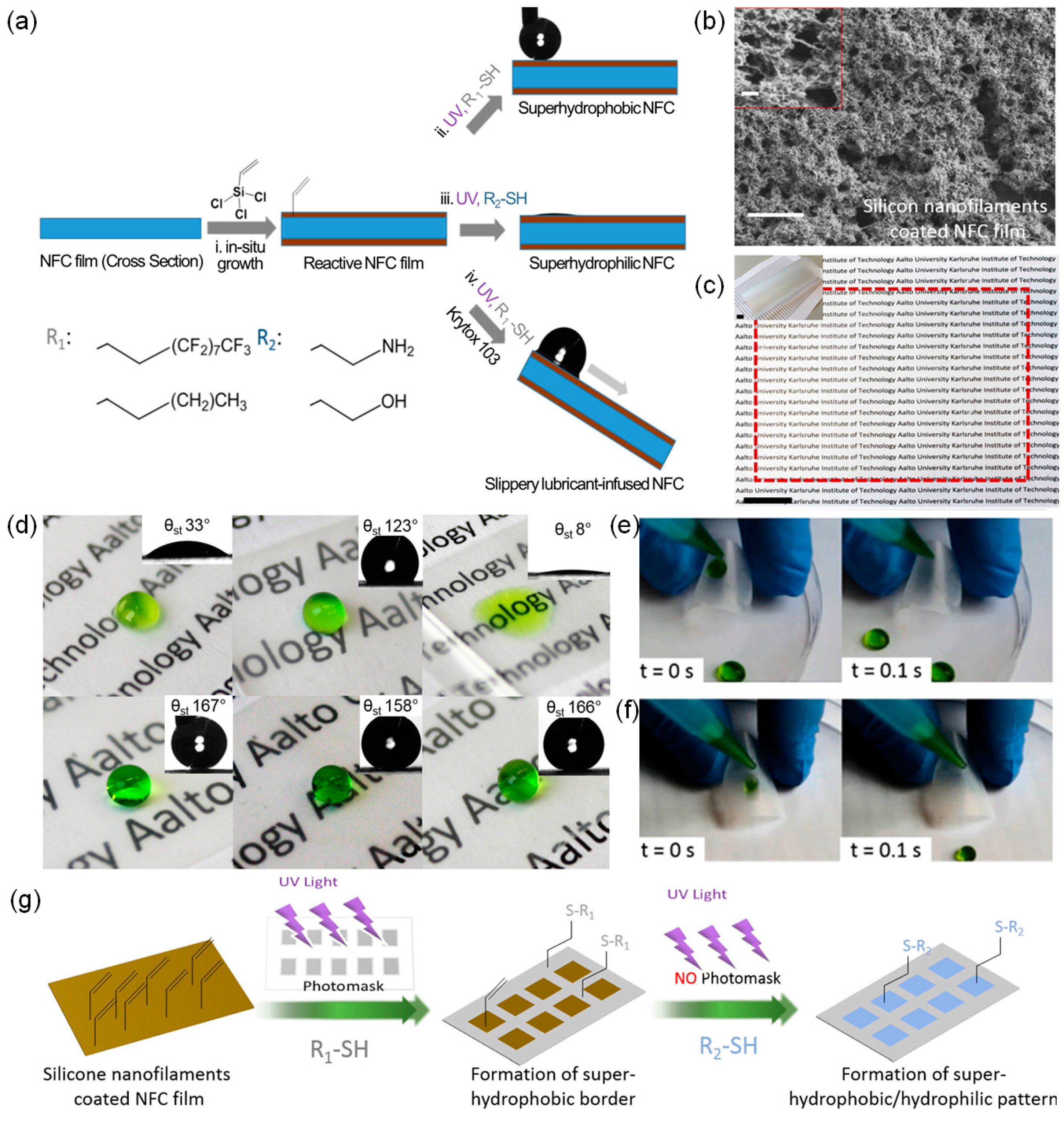 Coatings 08 00047 g015 Coatings 08 00047 g015