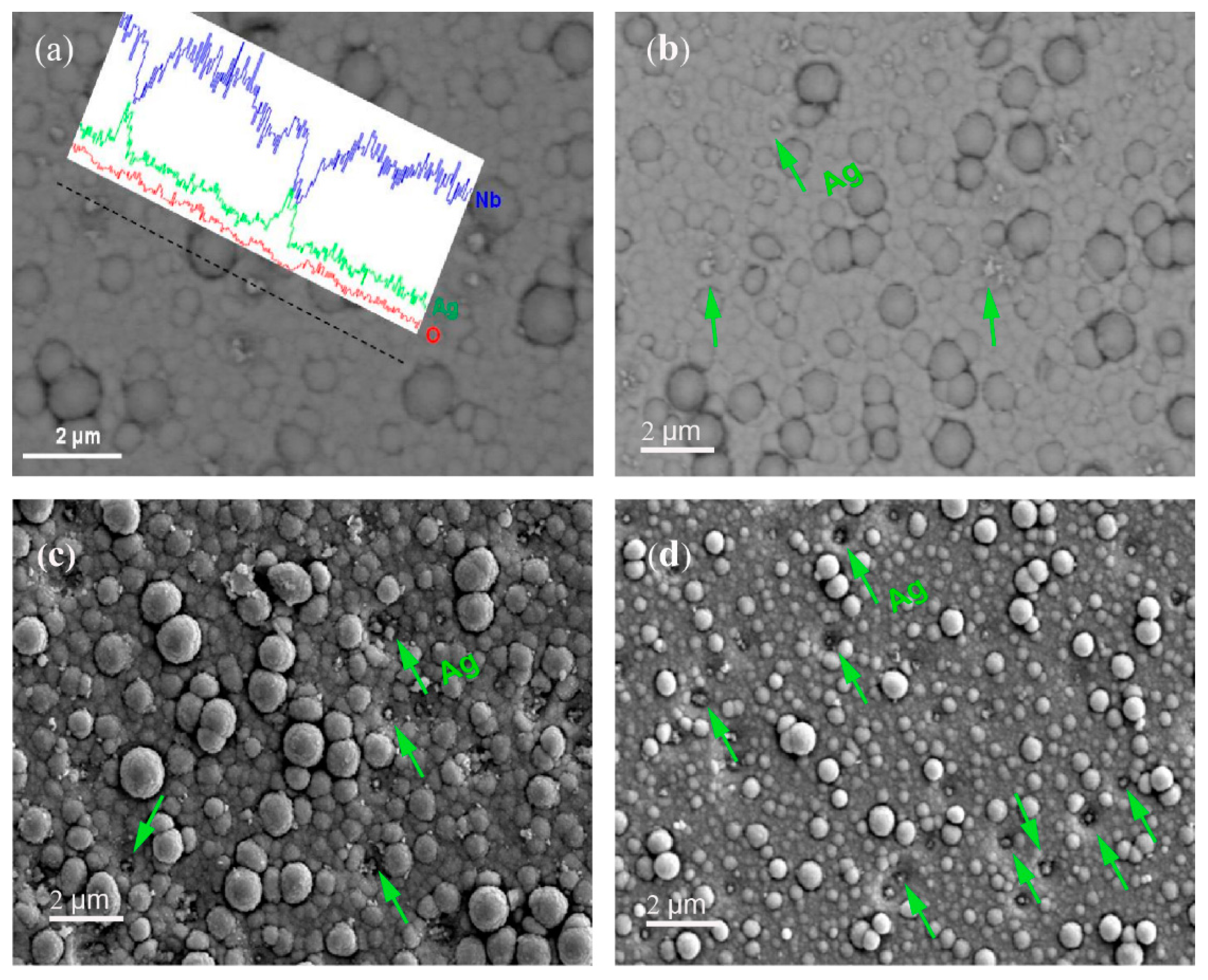 Coatings 08 00050 g004 Coatings 08 00050 g004