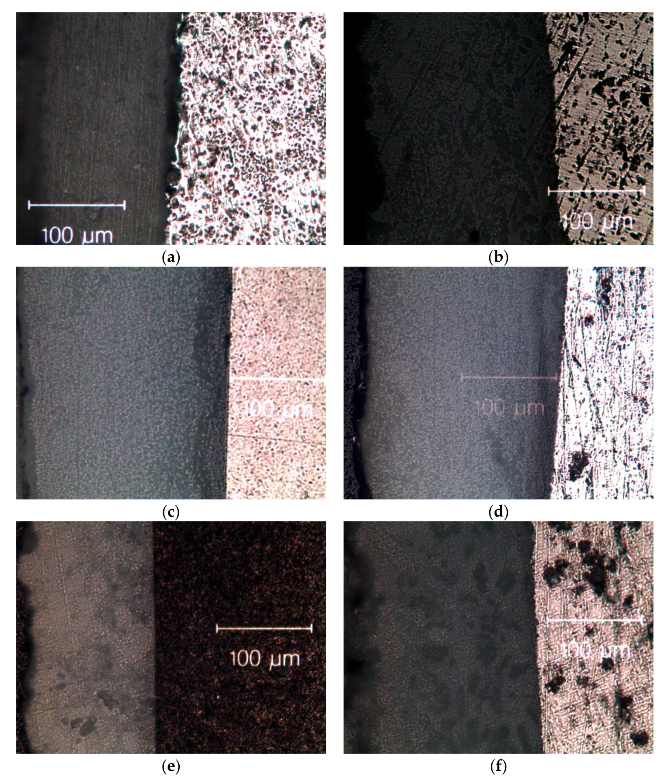 Coatings 08 00053 g002