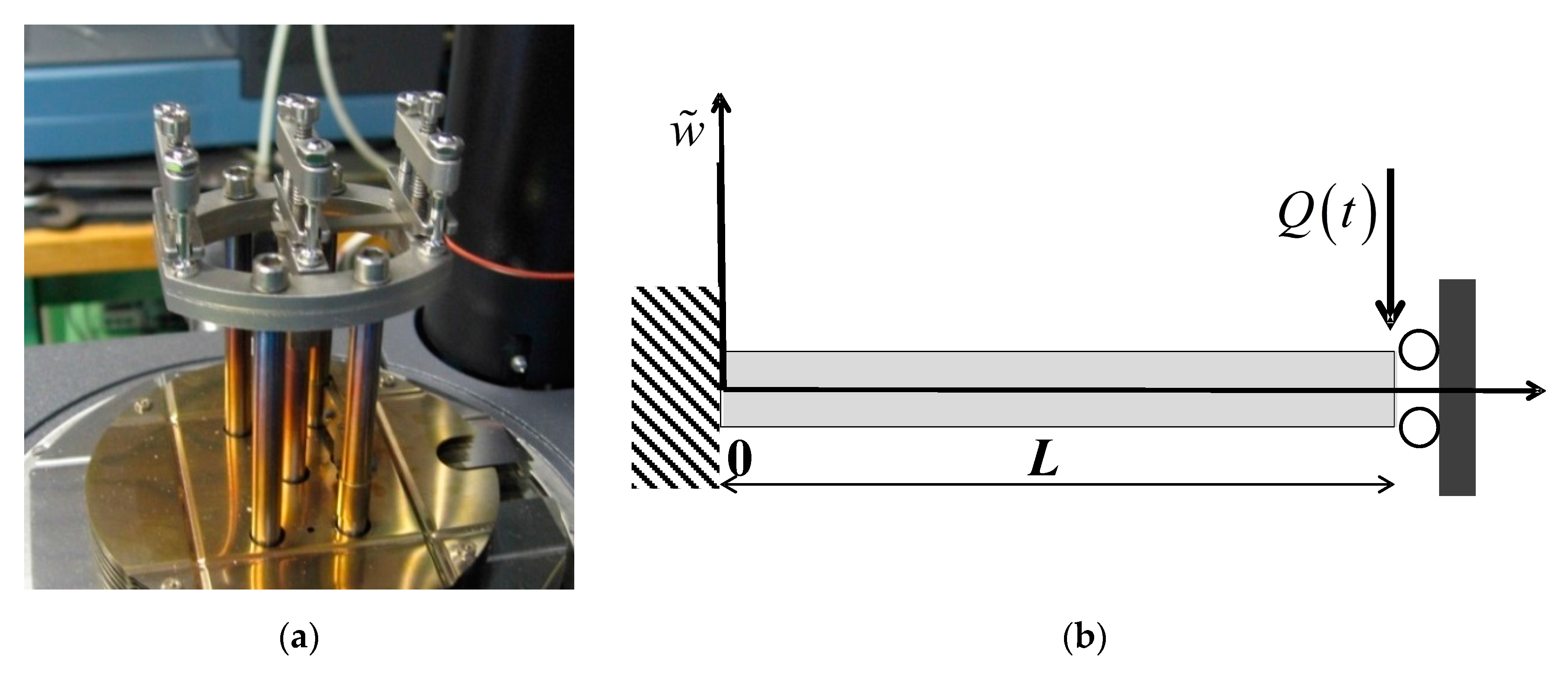 Coatings 08 00053 g004