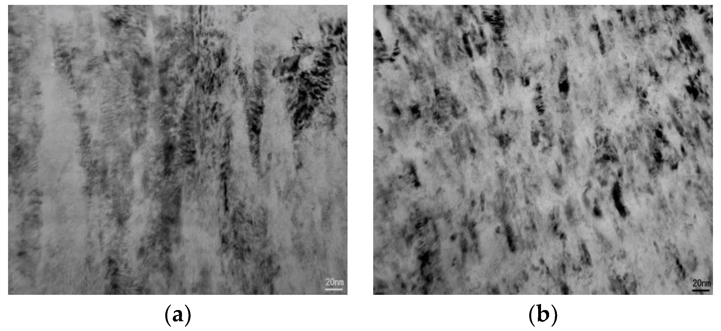 Coatings 08 00059 g001a