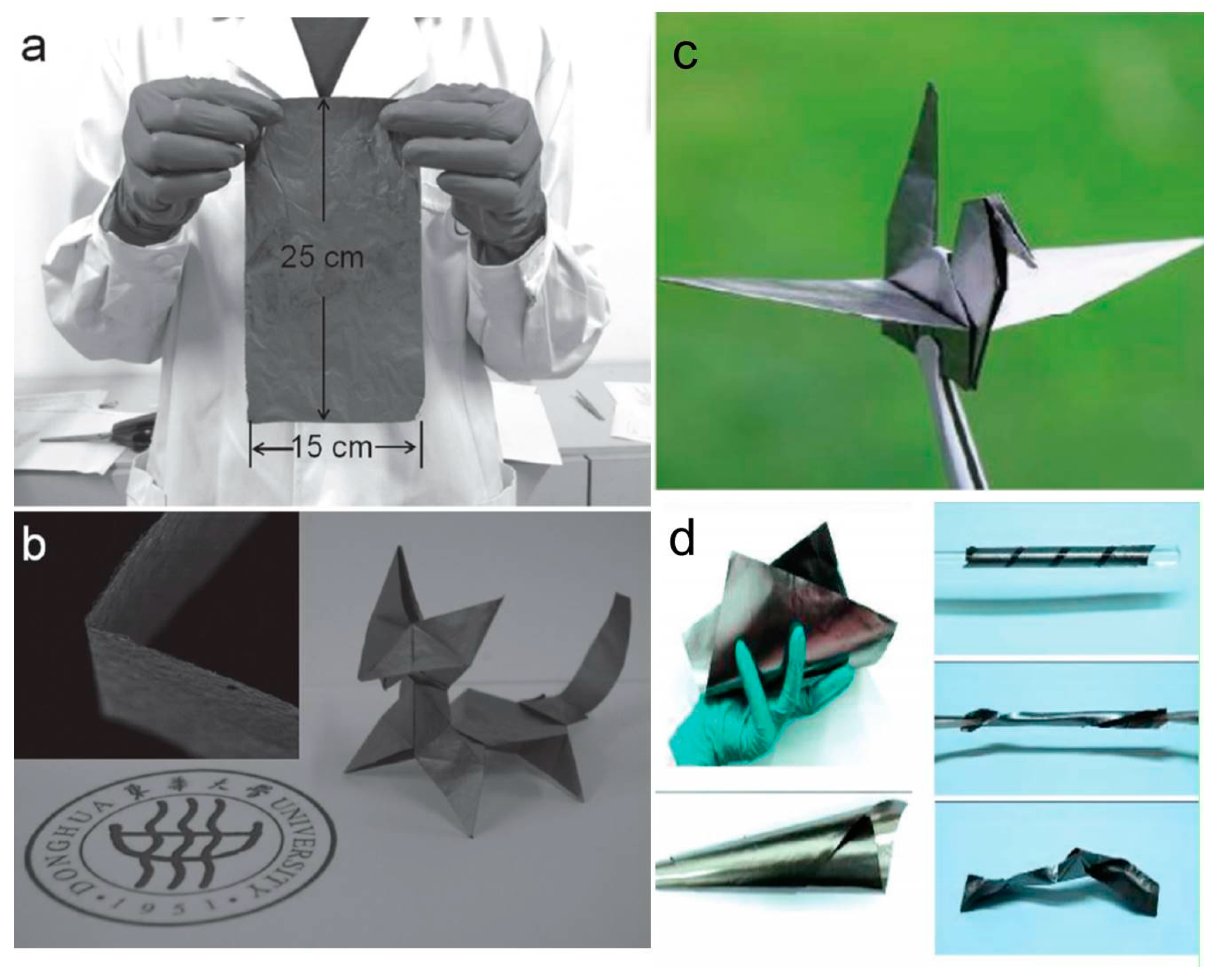 Coatings 08 00063 g006