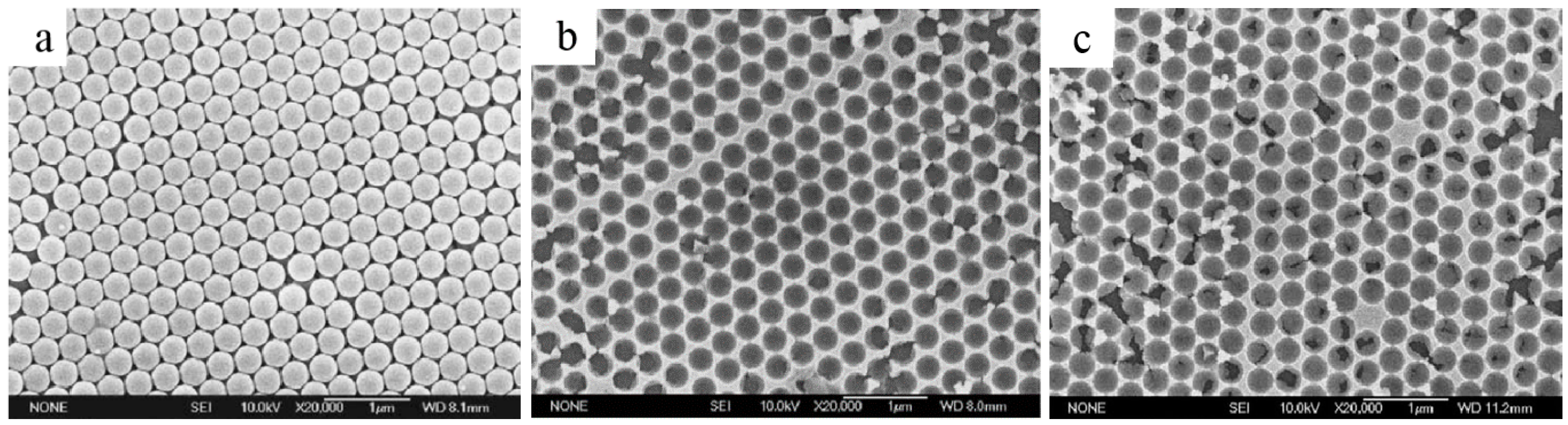 Coatings 08 00067 g008
