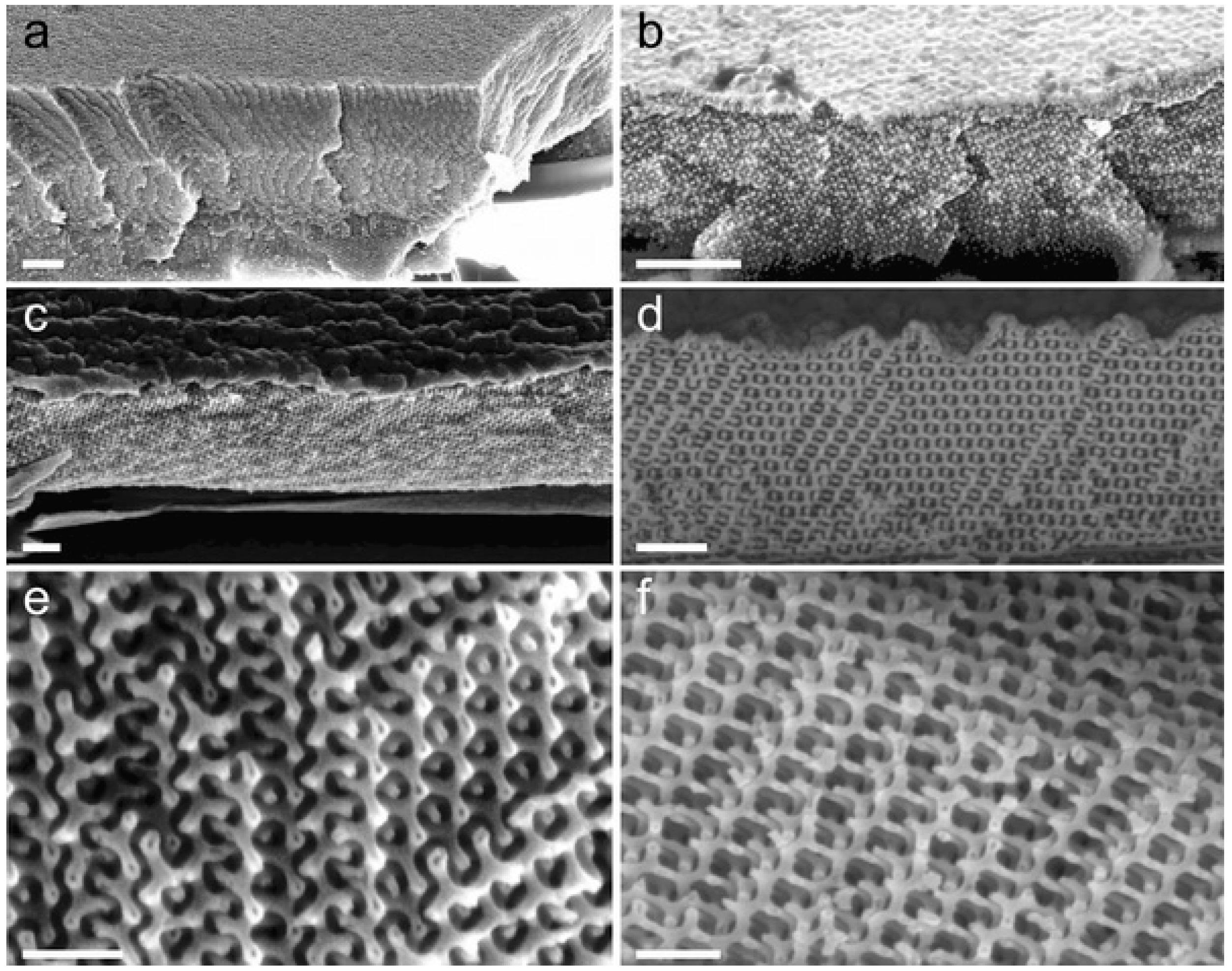 Coatings 08 00067 g009