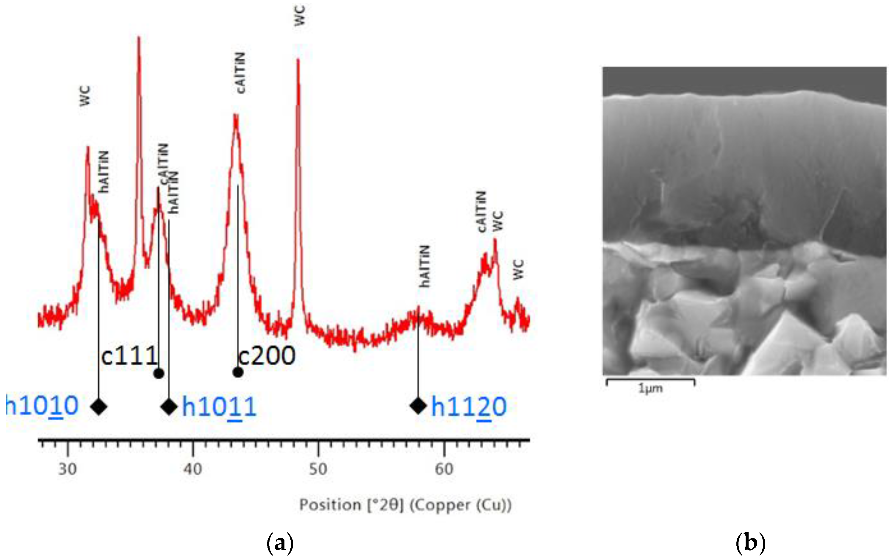 Coatings 08 00072 g004 550