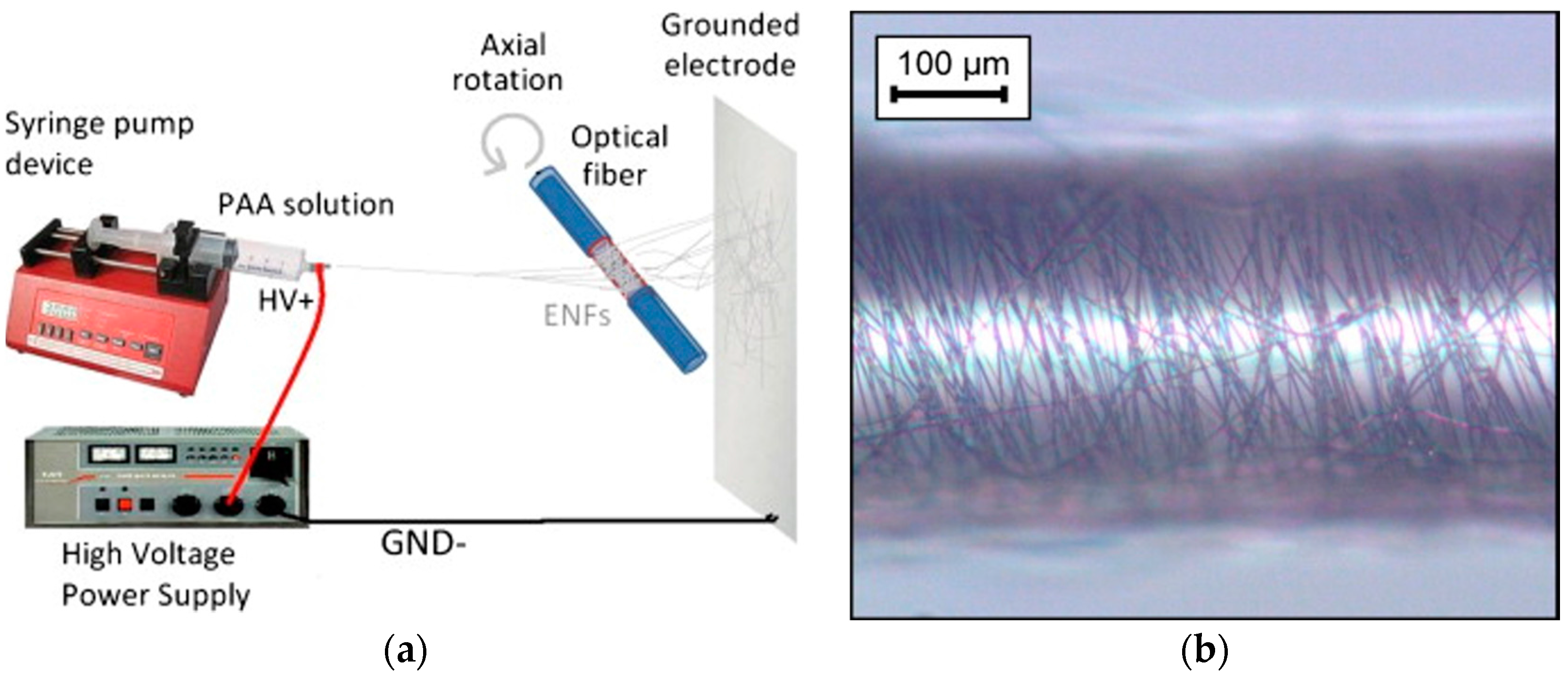 Coatings 08 00076 g004 Coatings 08 00076 g004