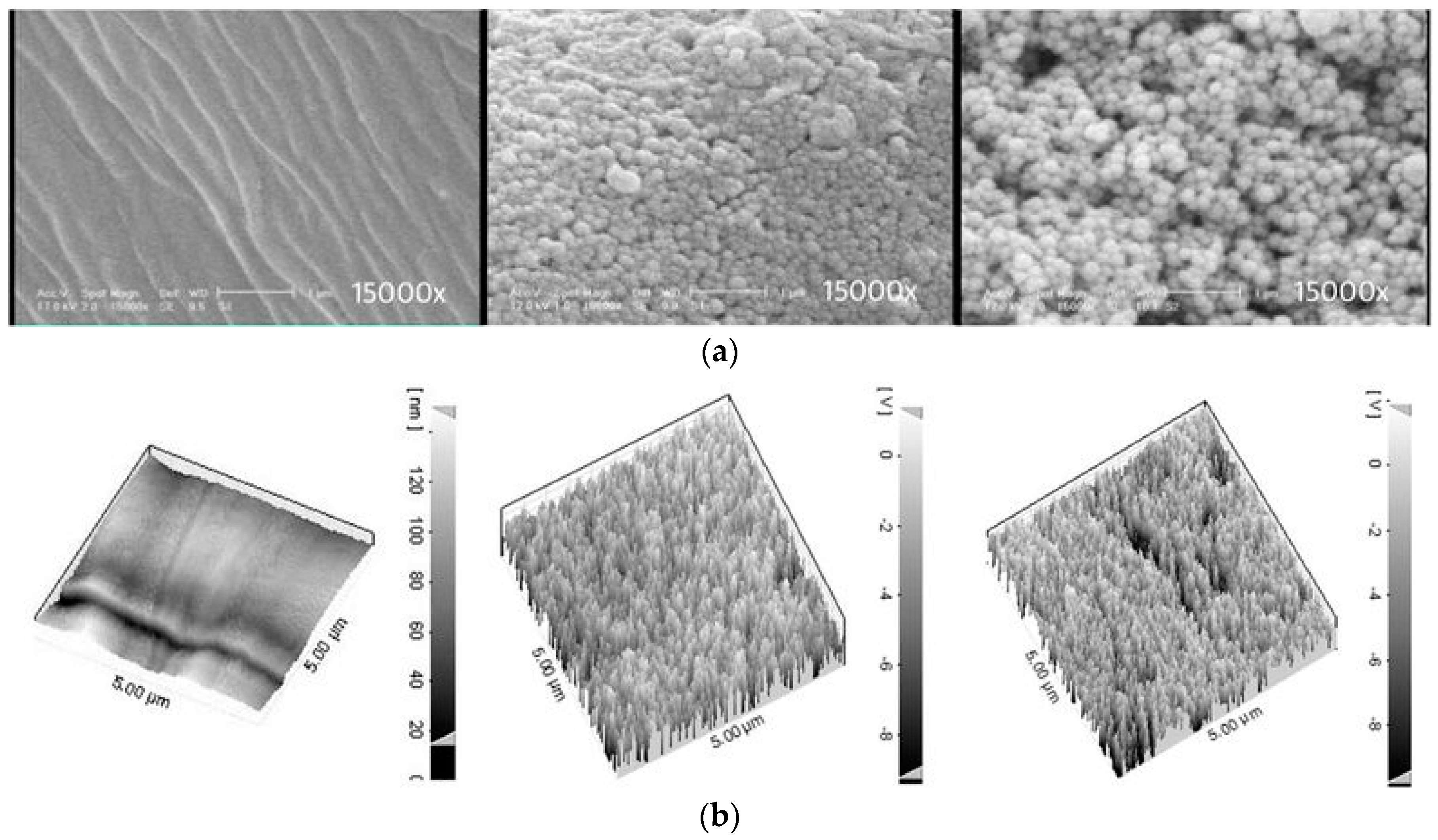 Coatings 08 00076 g005a Coatings 08 00076 g005a