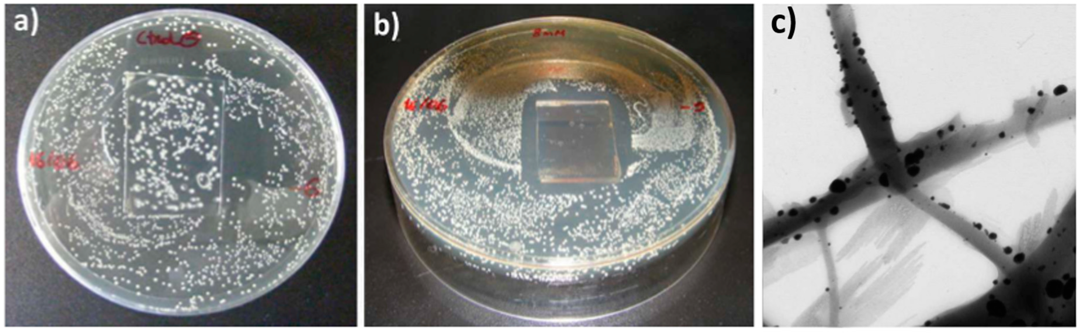 Coatings 08 00076 g008 Coatings 08 00076 g008