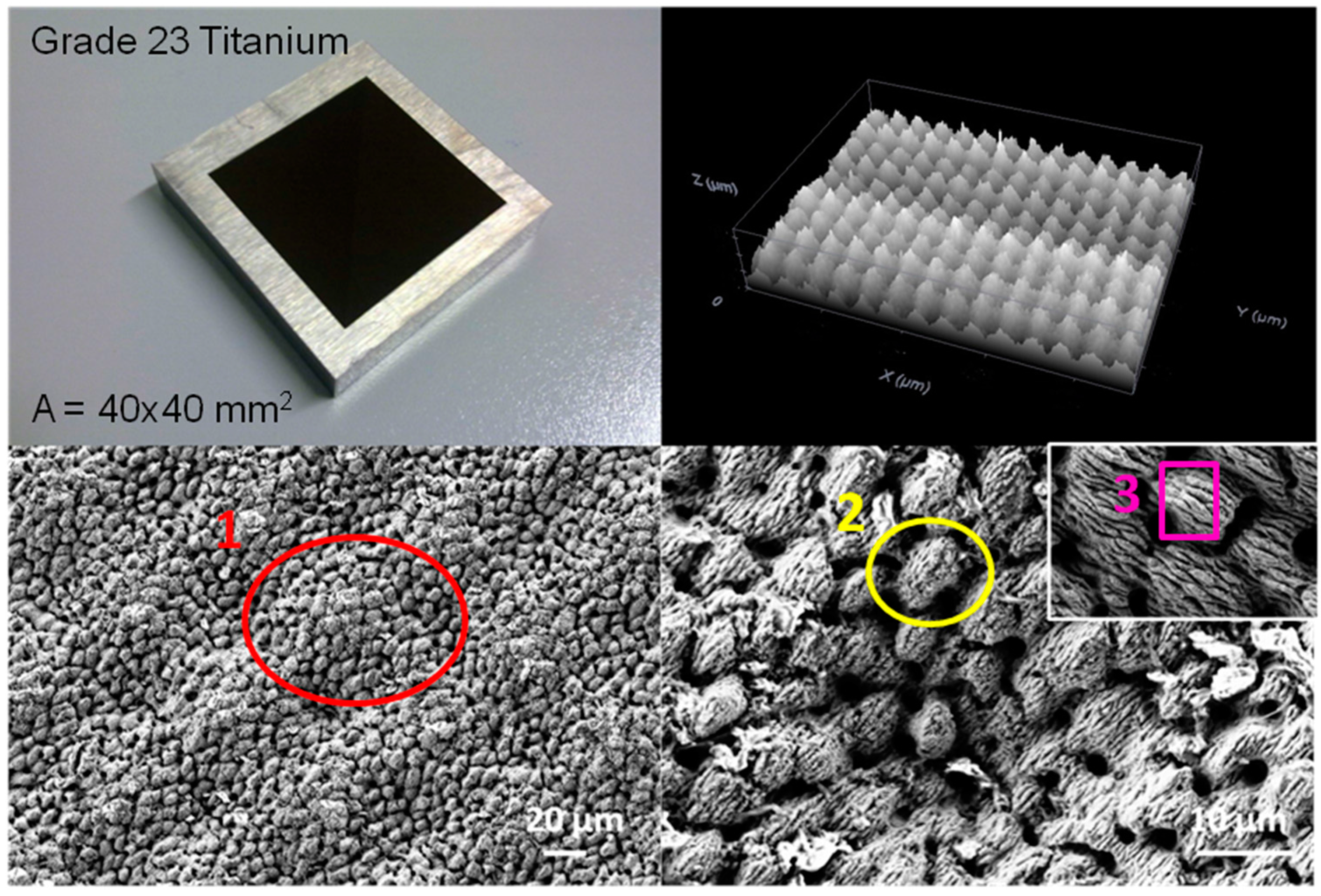 Coatings 08 00076 g010 Coatings 08 00076 g010