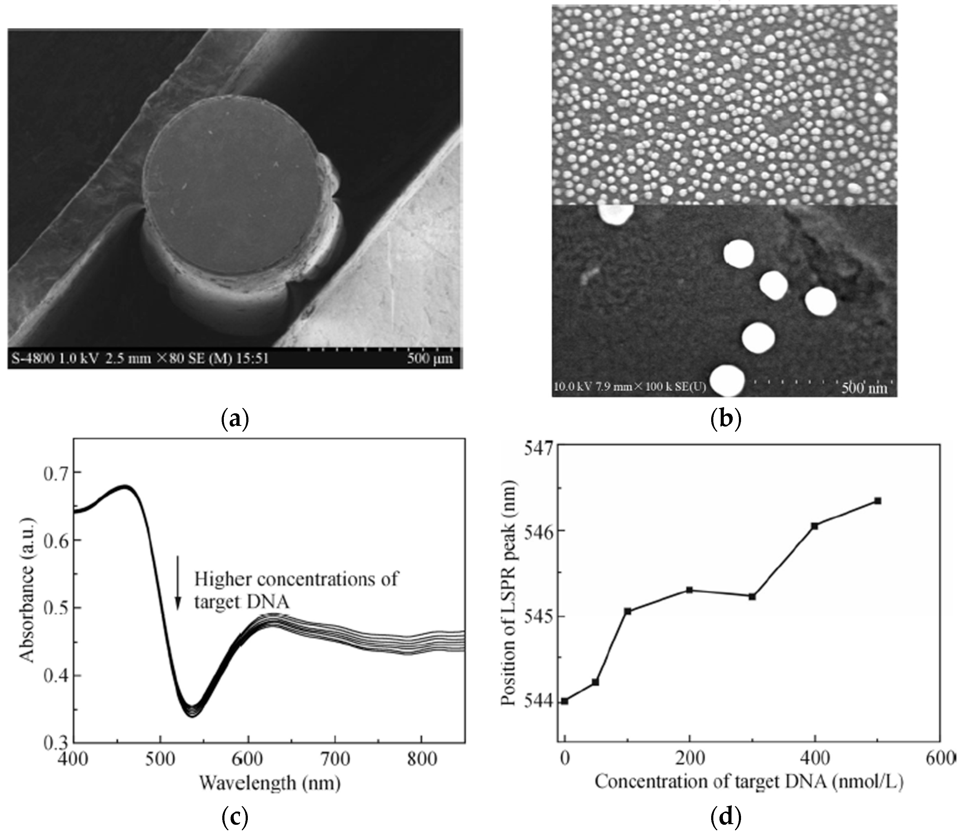 Coatings 08 00076 g015 Coatings 08 00076 g015
