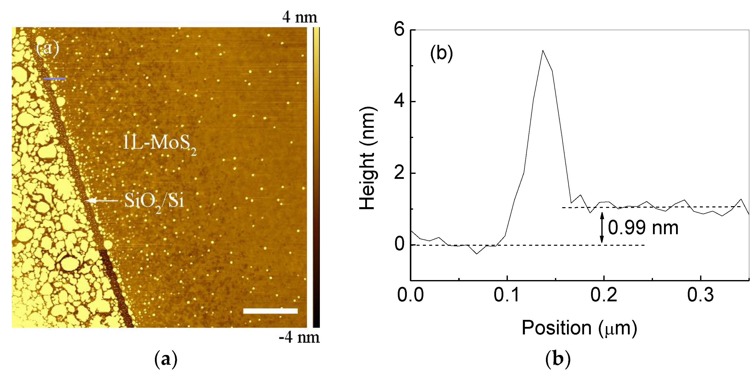Coatings 08 00078 g006